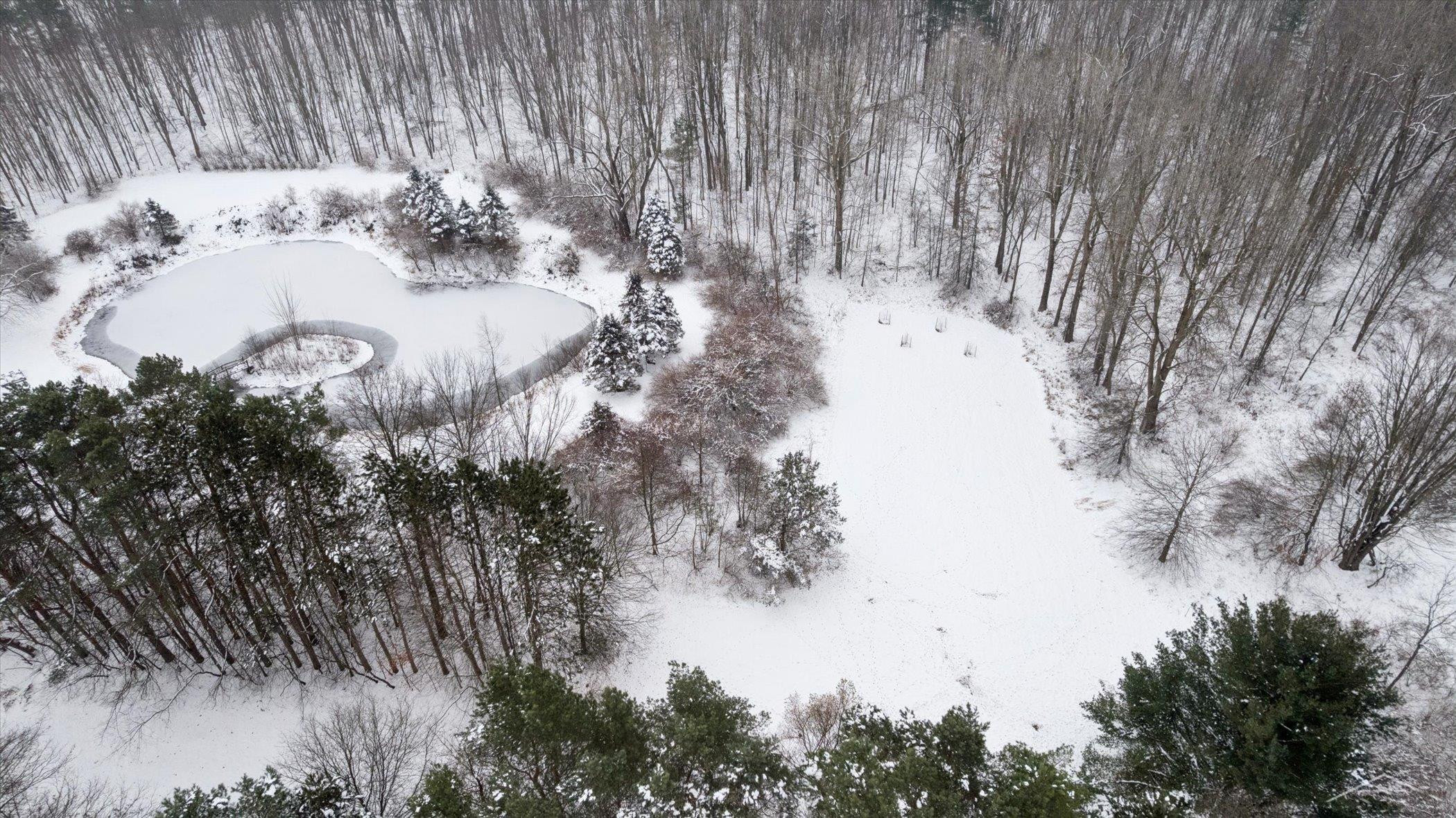14454 Raucholz Road, Chesaning, MI 48616 — Photo 64