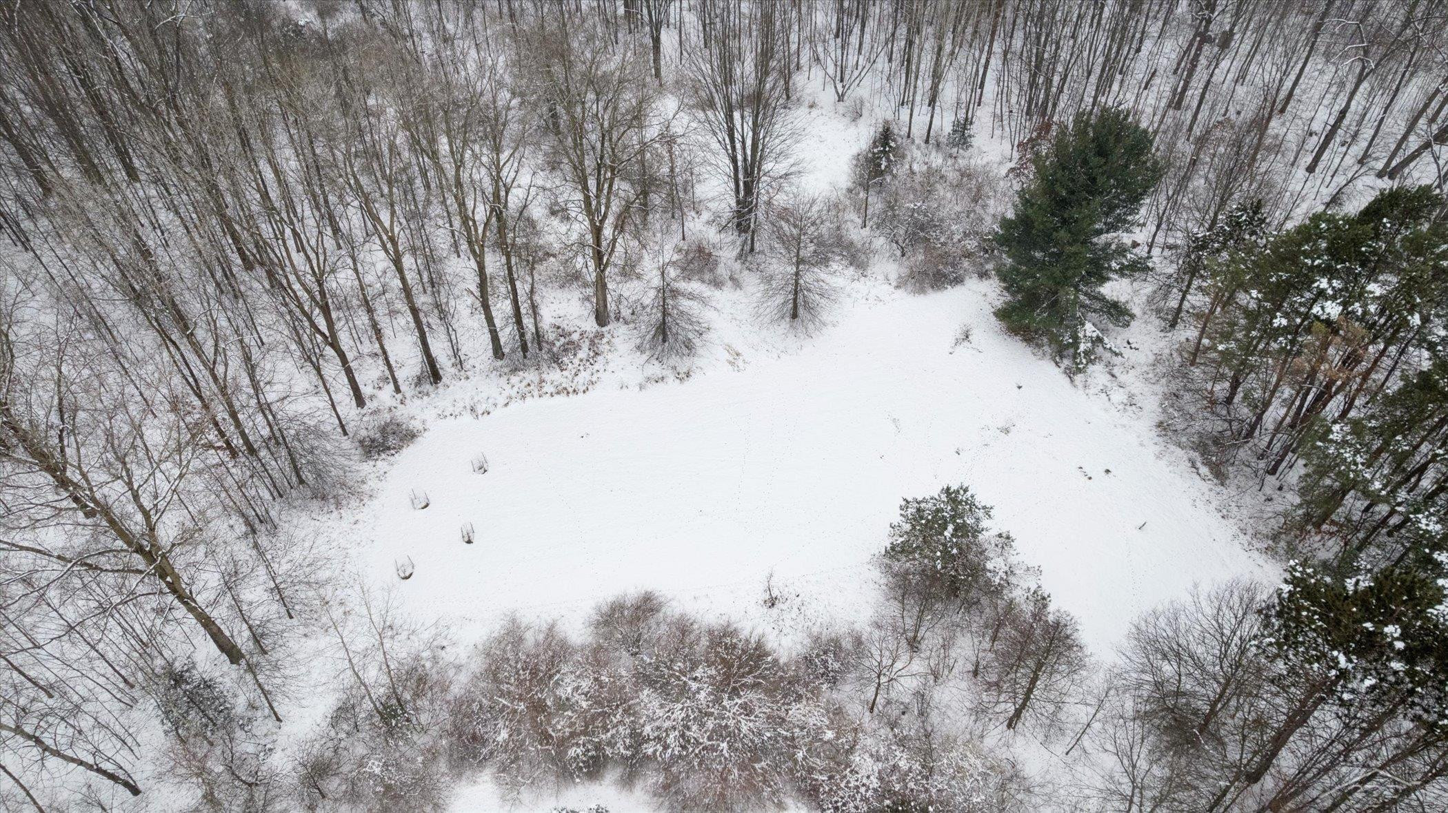 14454 Raucholz Road, Chesaning, MI 48616 — Photo 65