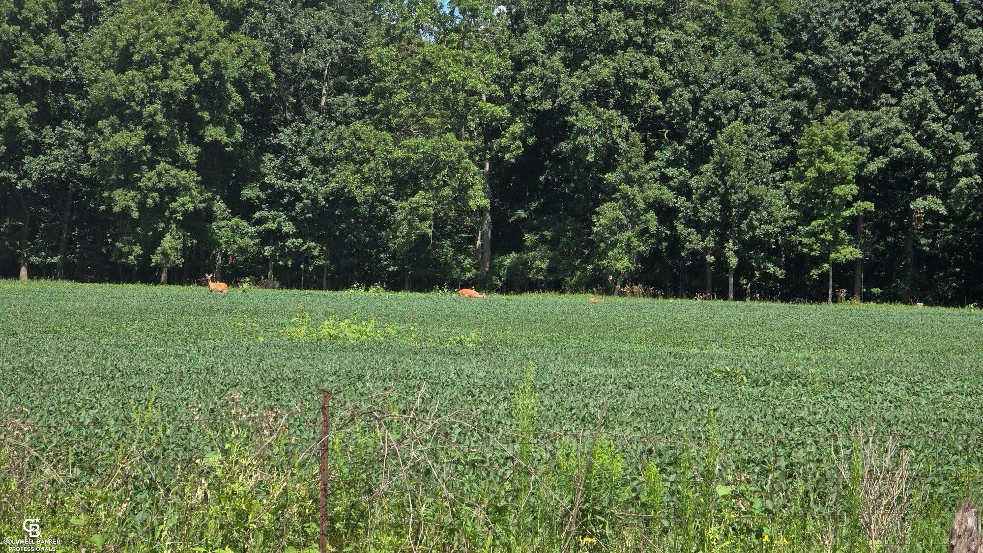 35325 31 Mile Road, MI 48050 — Photo 33
