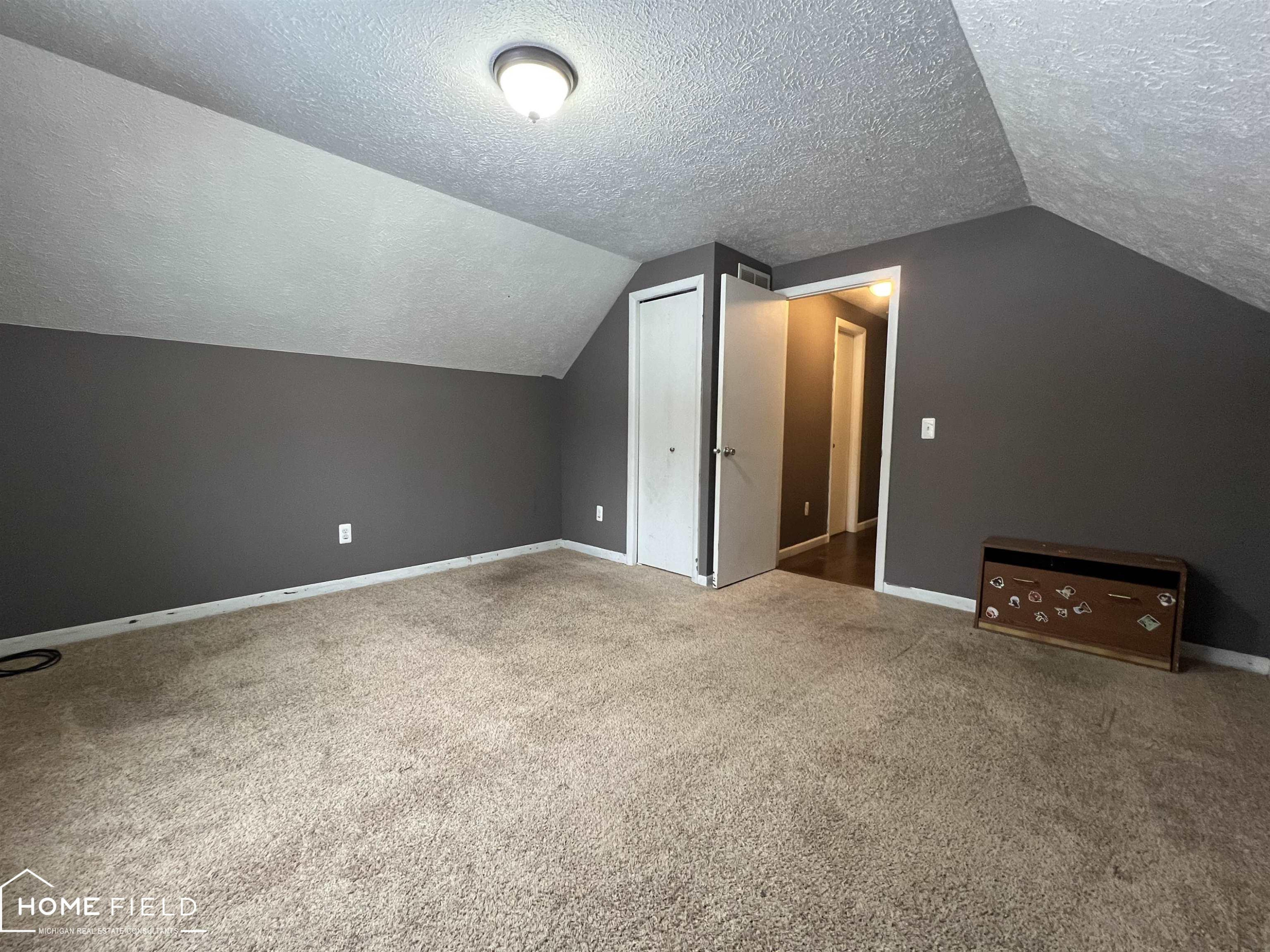 211 Shiawassee Street, Laingsburg, MI 48848 — Photo 17