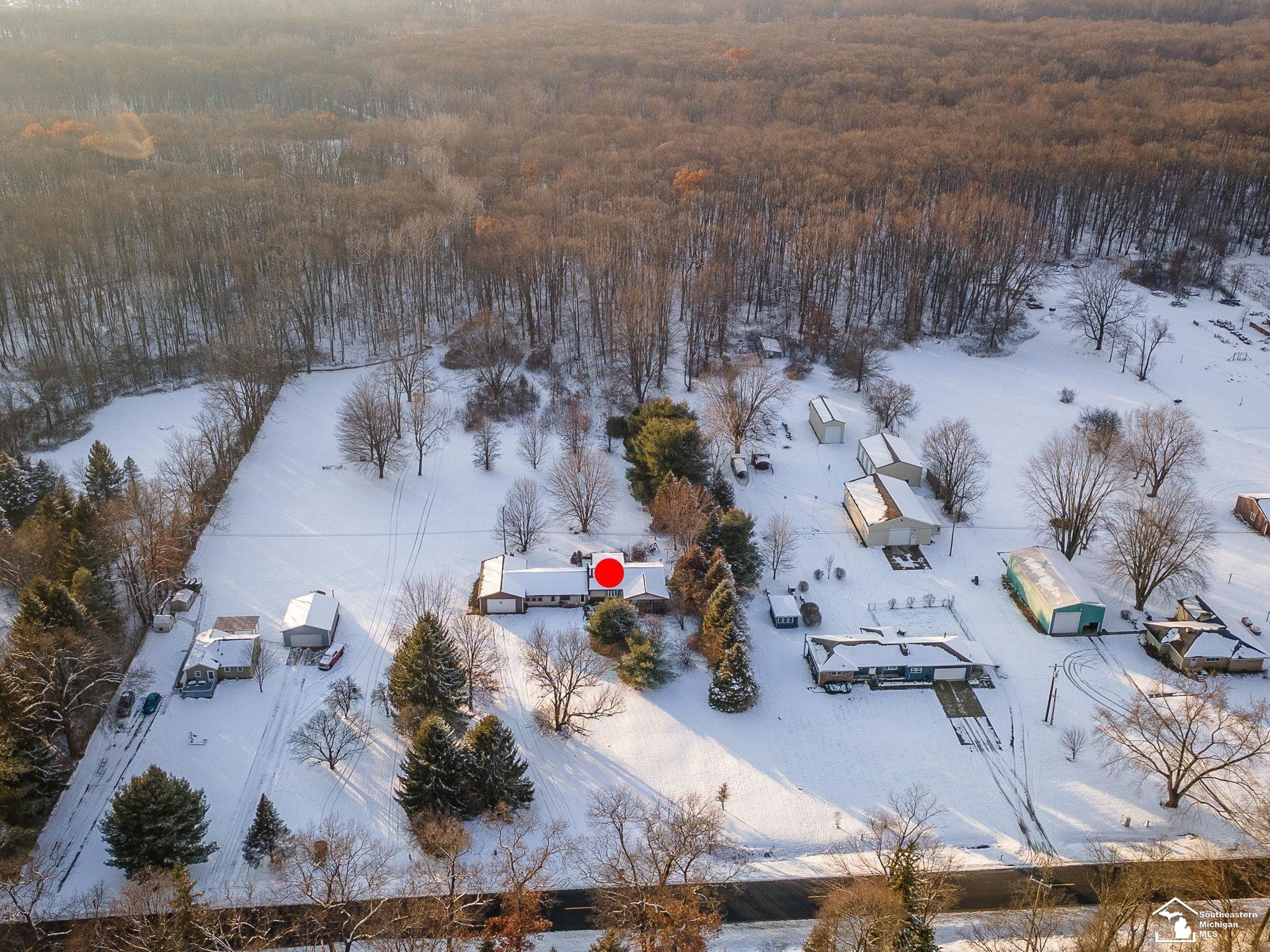 2710 Wells Road, Petersburg, MI 49270 — Photo 4