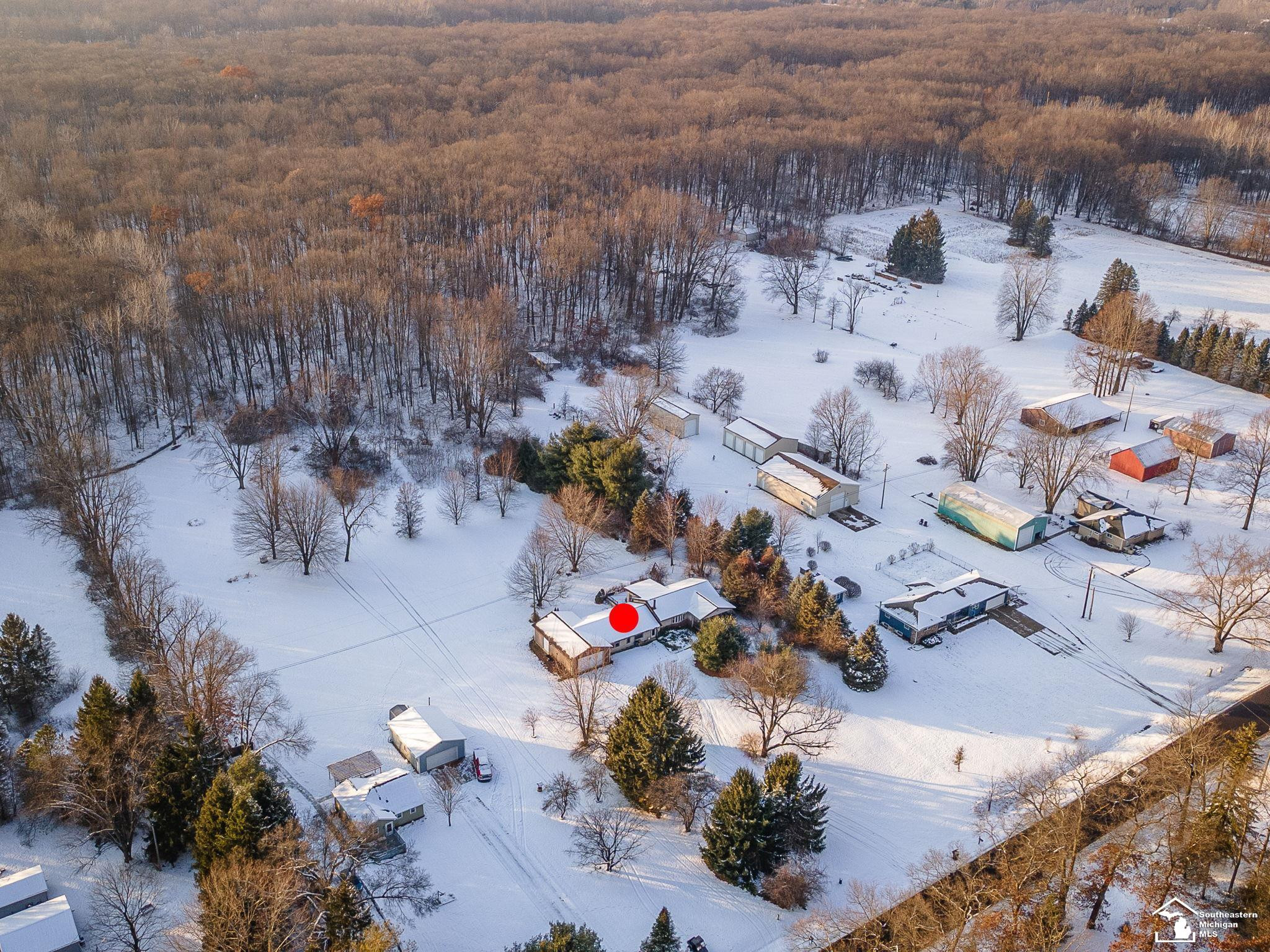 2710 Wells Road, Petersburg, MI 49270 — Photo 5