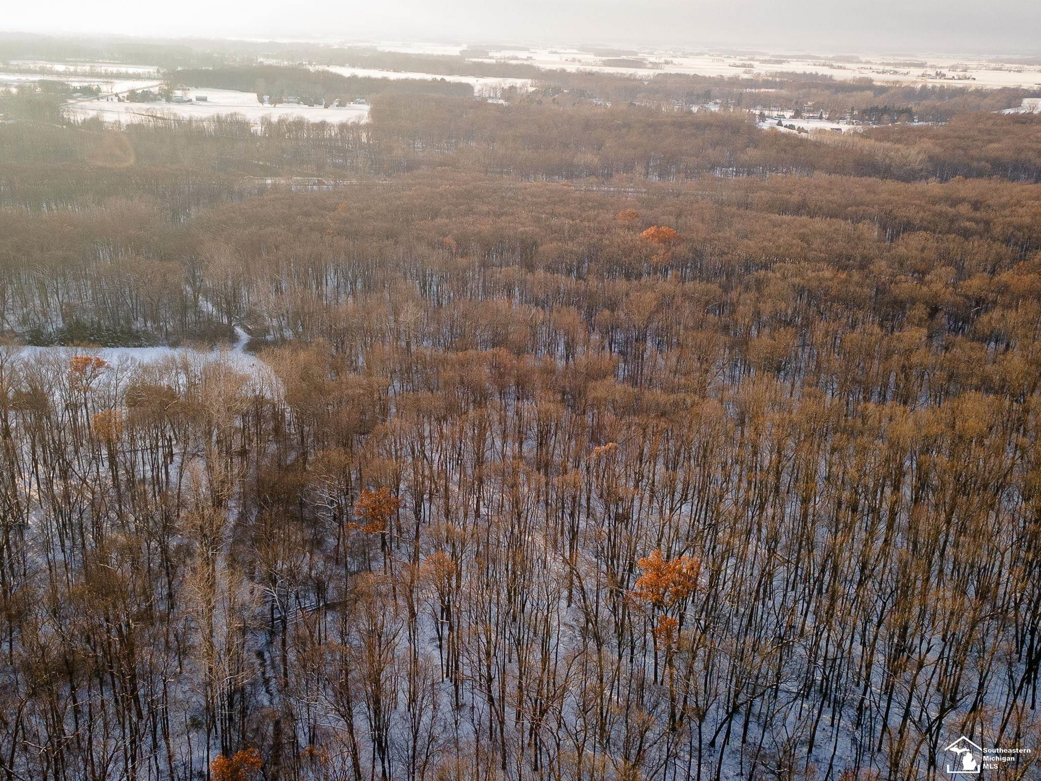 2710 Wells Road, Petersburg, MI 49270 — Photo 7