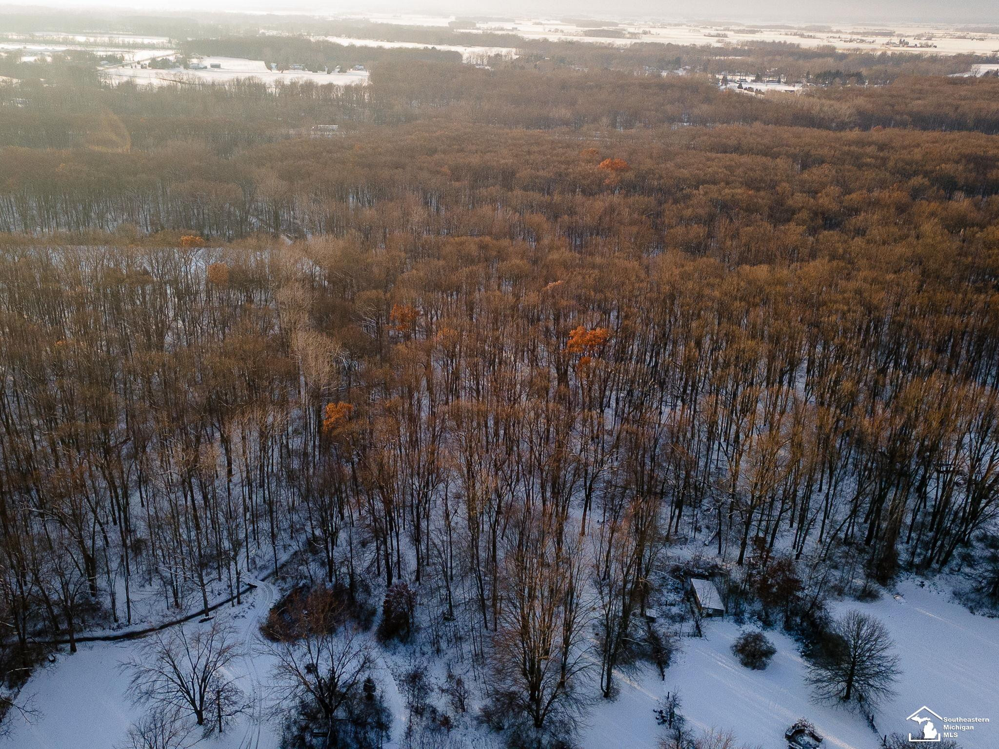 2710 Wells Road, Petersburg, MI 49270 — Photo 36