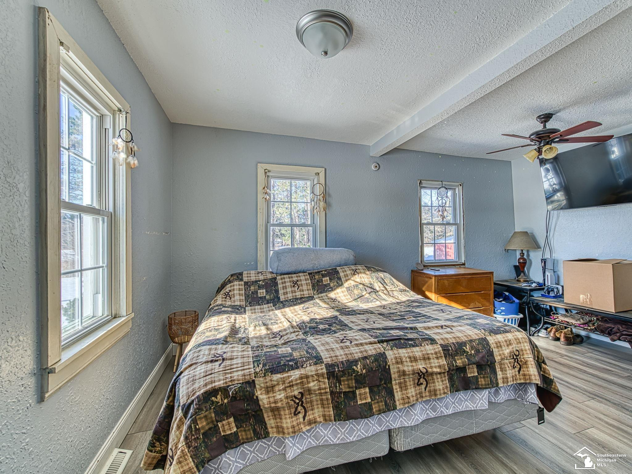 16246 Morocco Road, Petersburg, MI 49270 — Photo 14