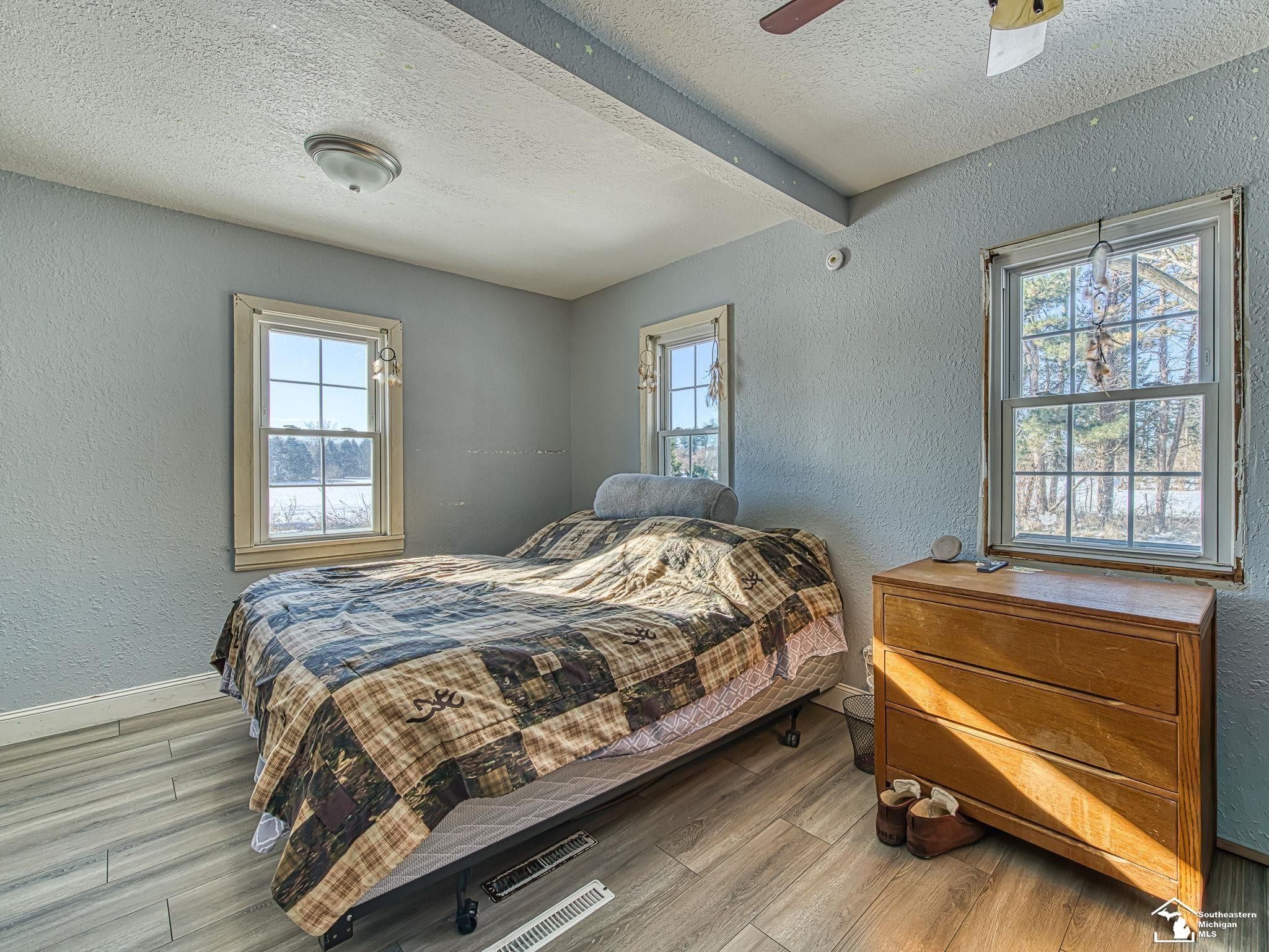 16246 Morocco Road, Petersburg, MI 49270 — Photo 15
