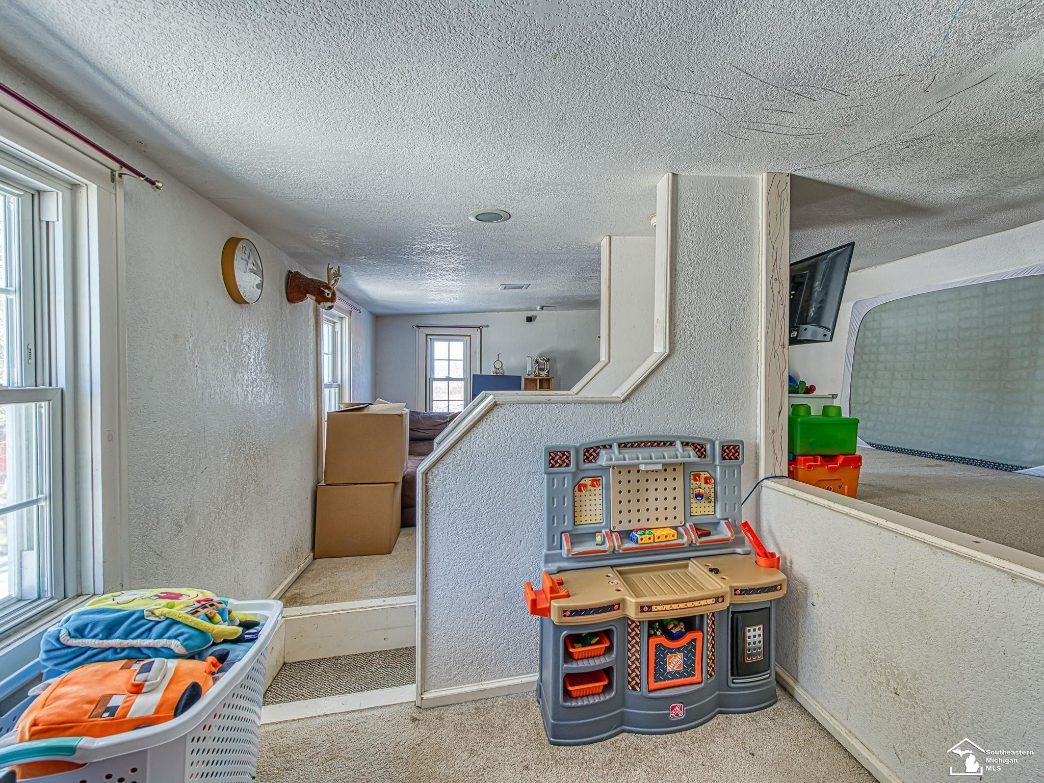 16246 Morocco Road, Petersburg, MI 49270 — Photo 18