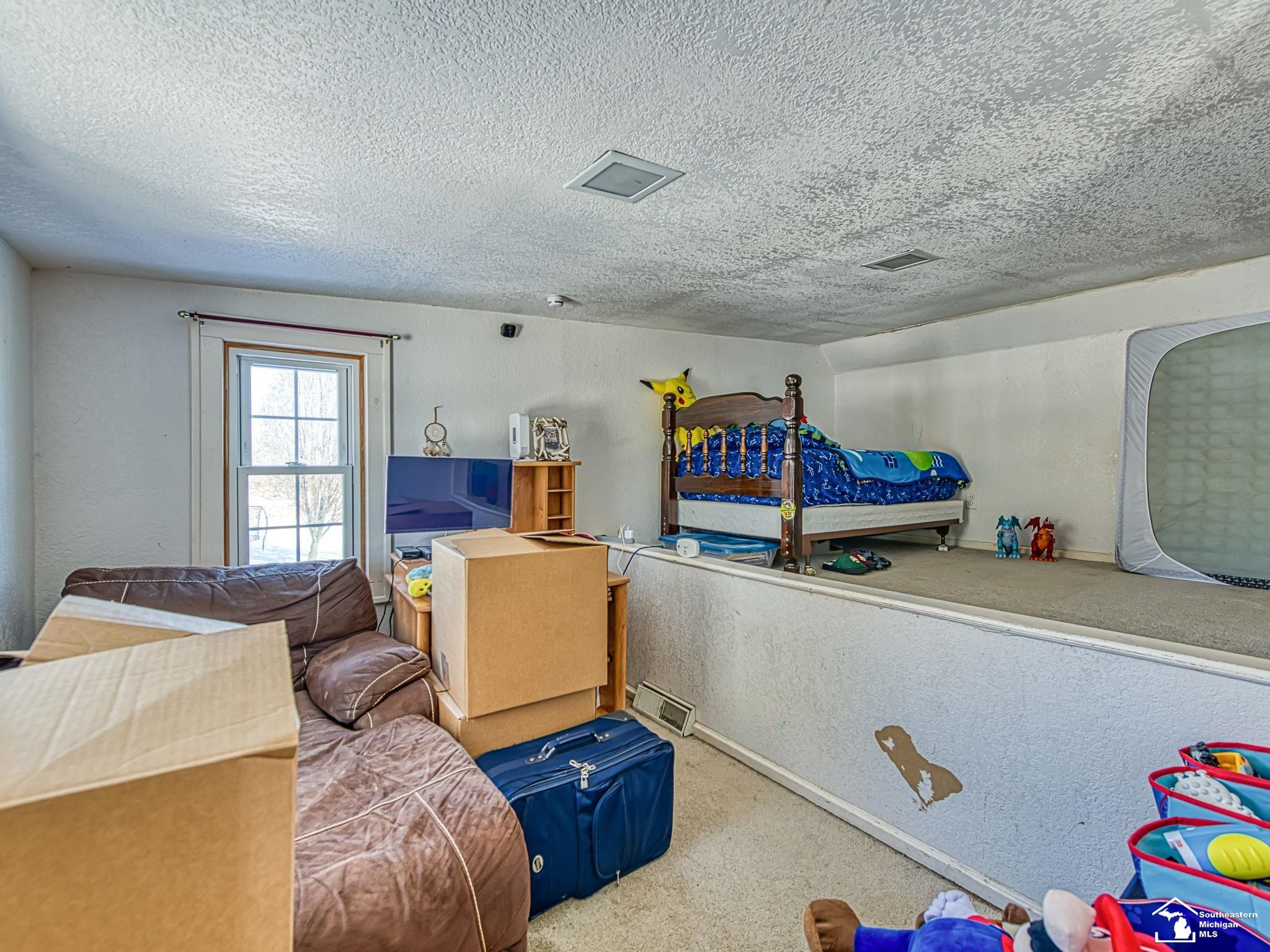16246 Morocco Road, Petersburg, MI 49270 — Photo 19