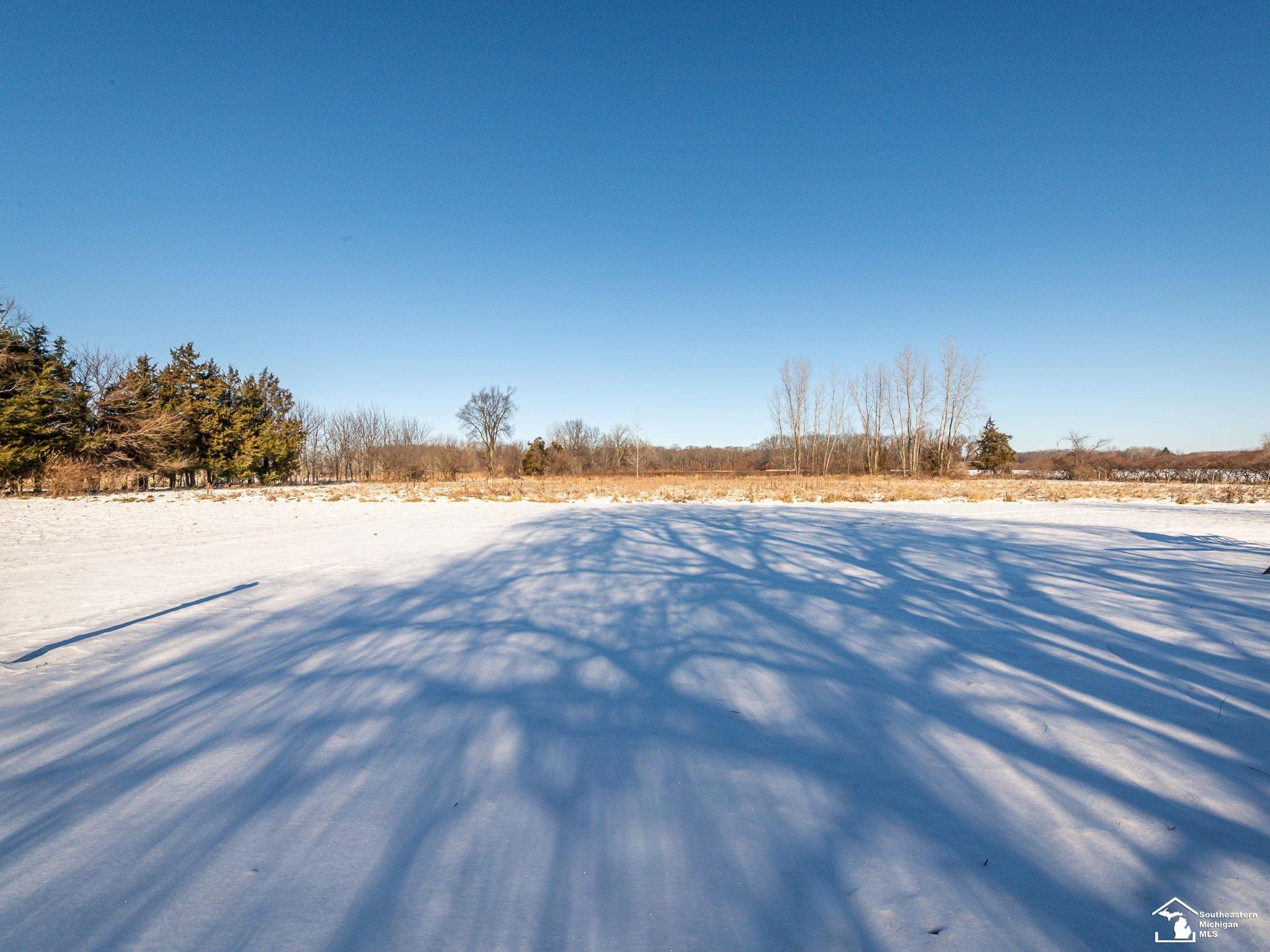 16246 Morocco Road, Petersburg, MI 49270 — Photo 34