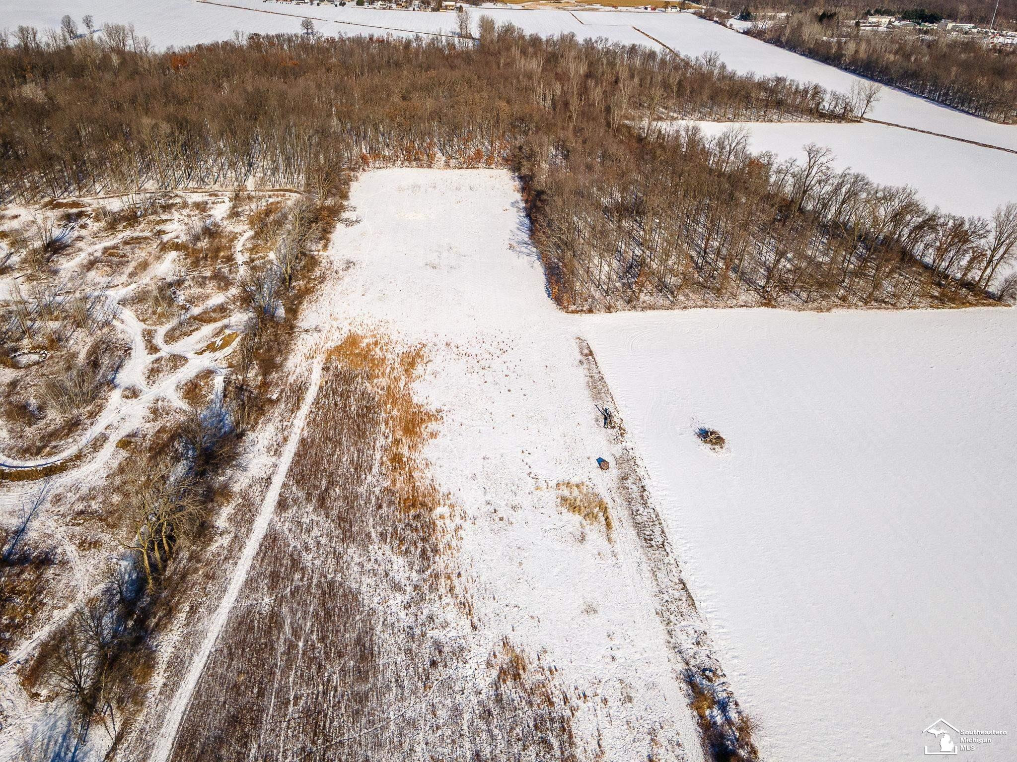 16246 Morocco Road, Petersburg, MI 49270 — Photo 43