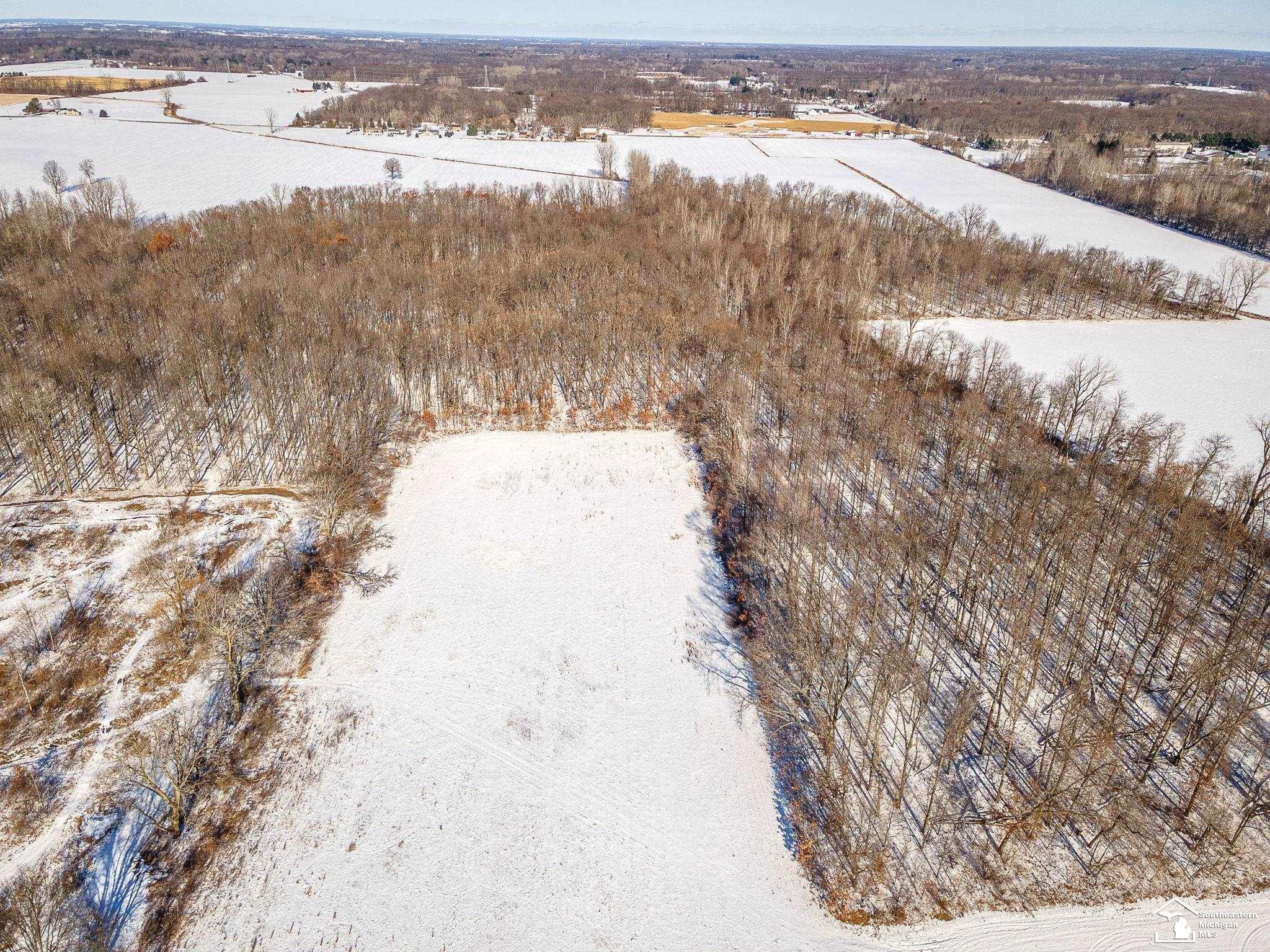 16246 Morocco Road, Petersburg, MI 49270 — Photo 44