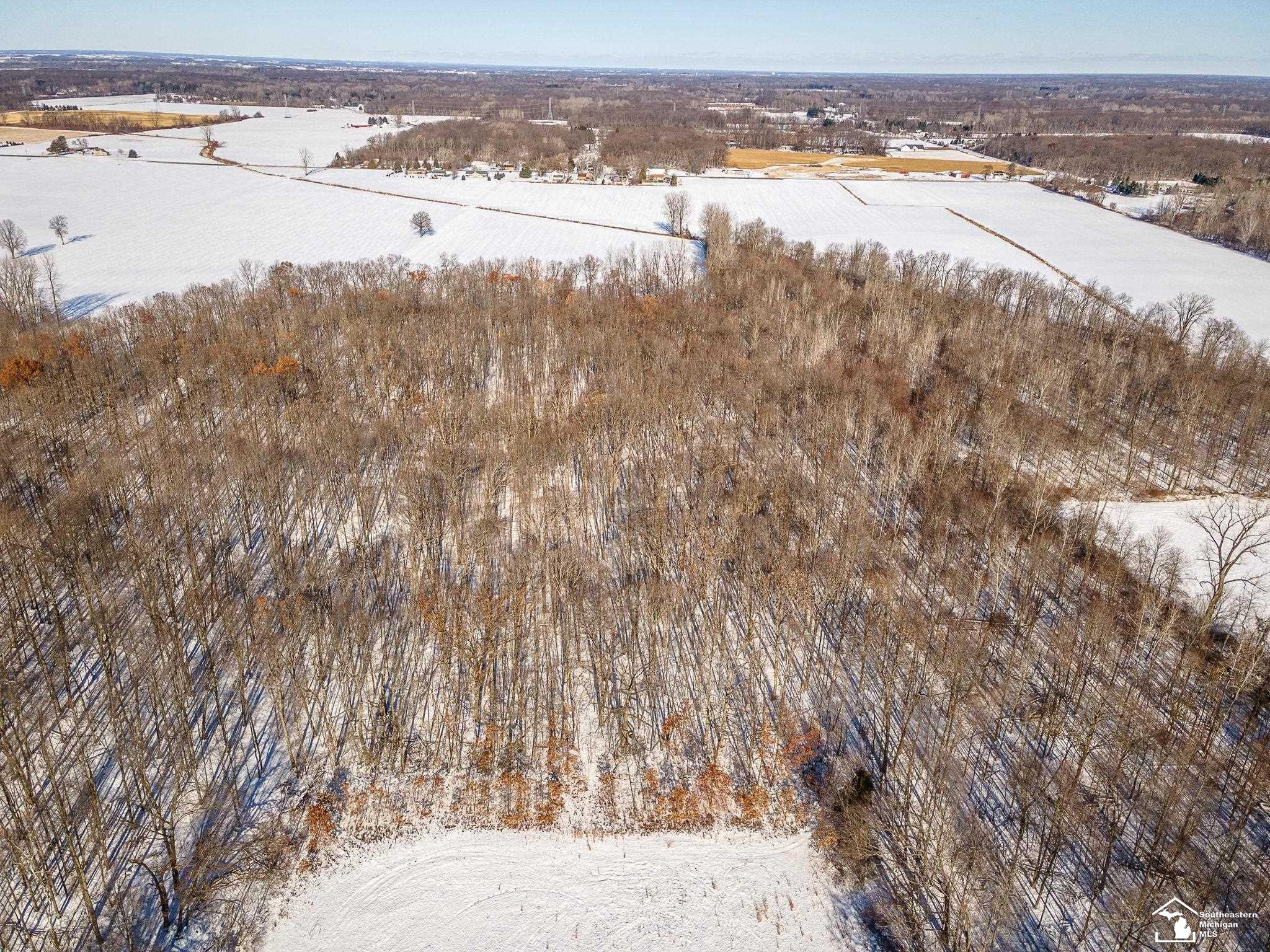 16246 Morocco Road, Petersburg, MI 49270 — Photo 45