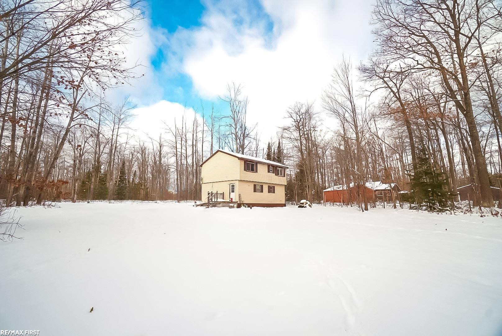 20901 County Road 459 Road, Hillman, MI 49746 — Photo 2