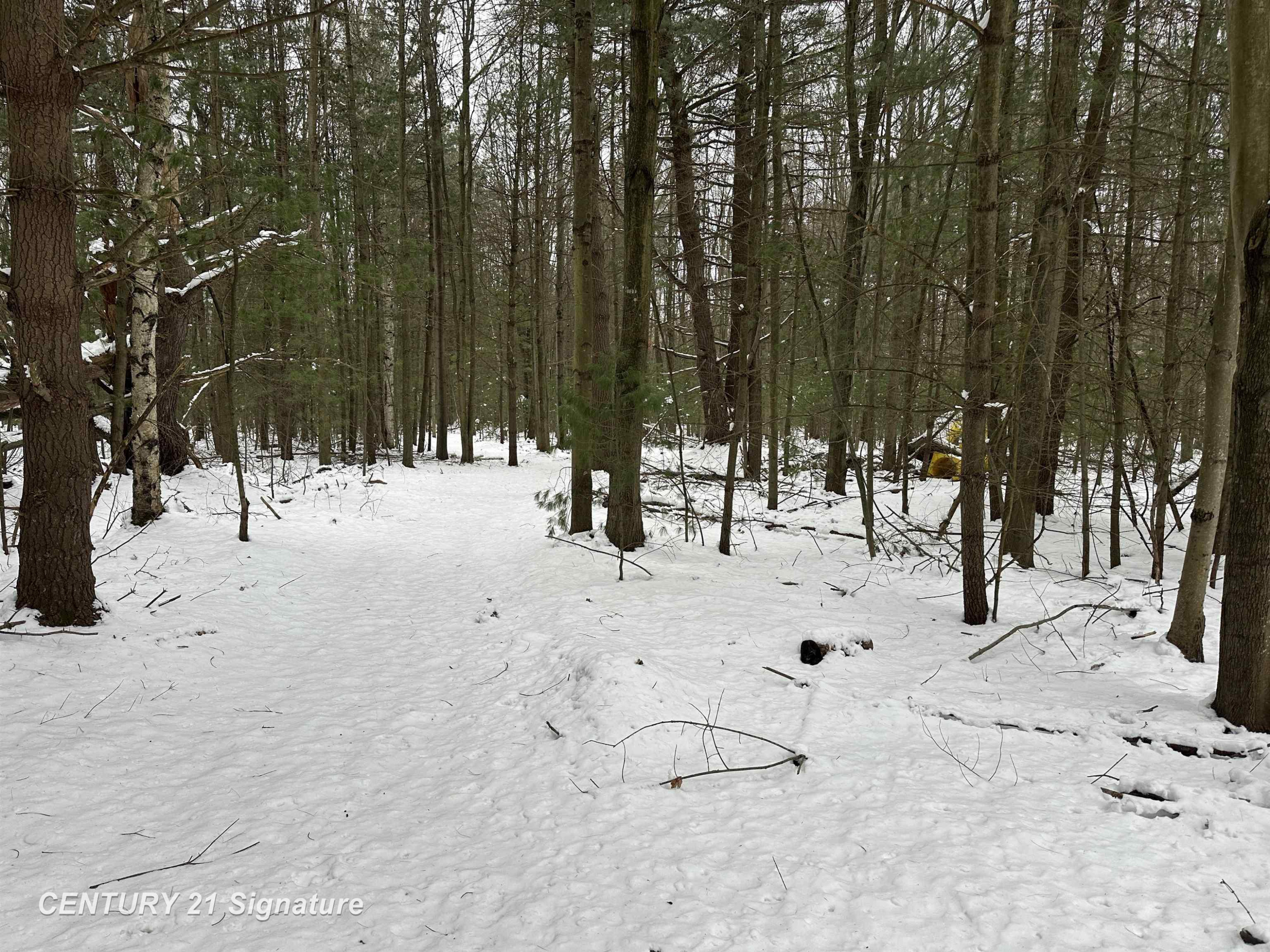 2245 W Burt Road, Burt, MI 48417 — Photo 19