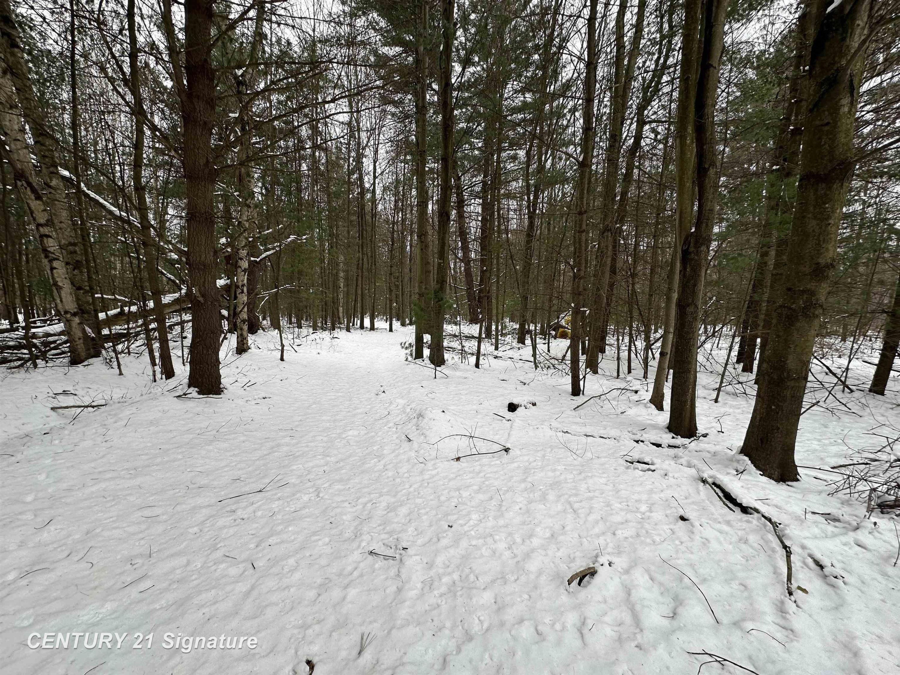 2245 W Burt Road, Burt, MI 48417 — Photo 20
