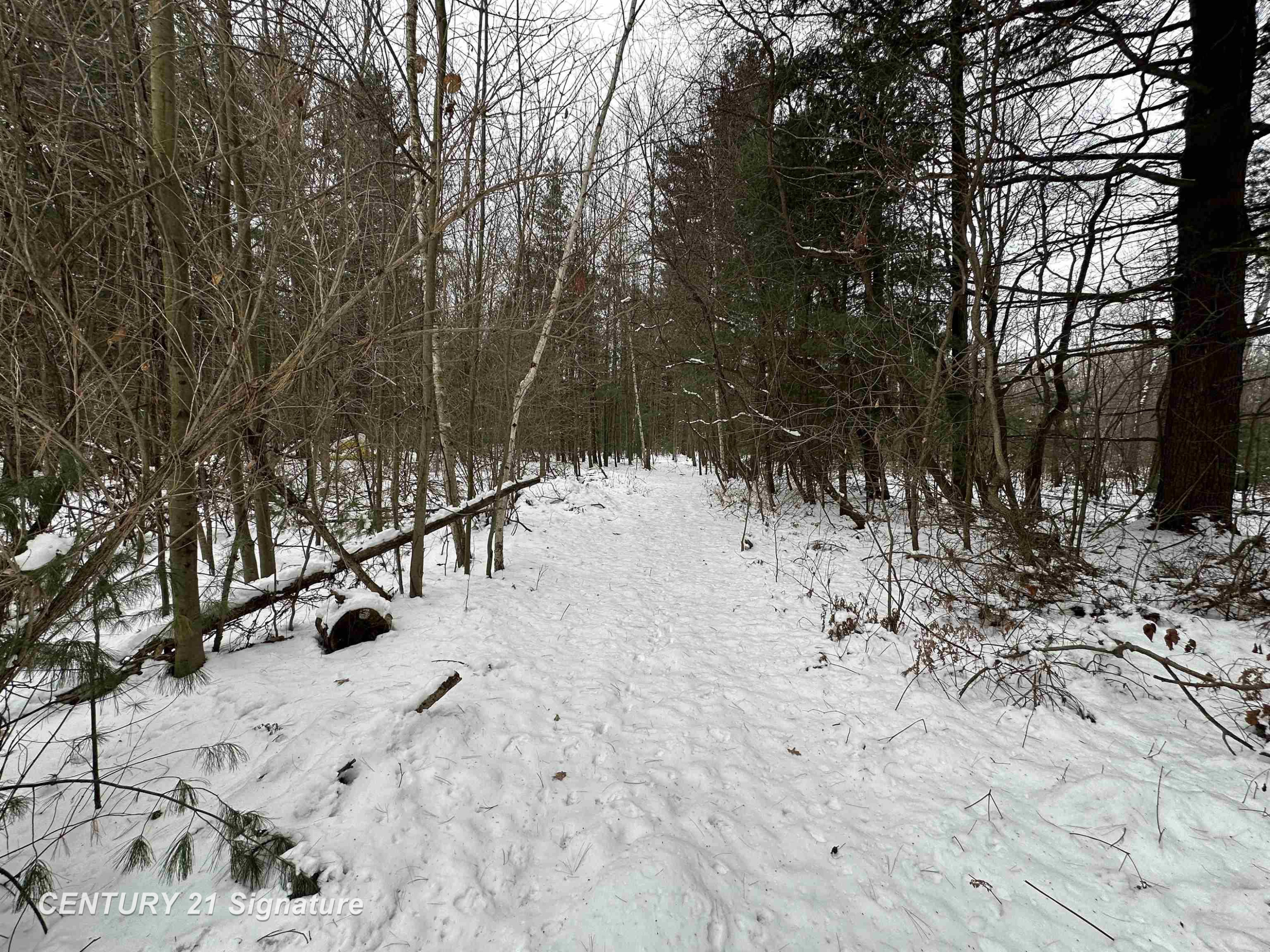 2245 W Burt Road, Burt, MI 48417 — Photo 21