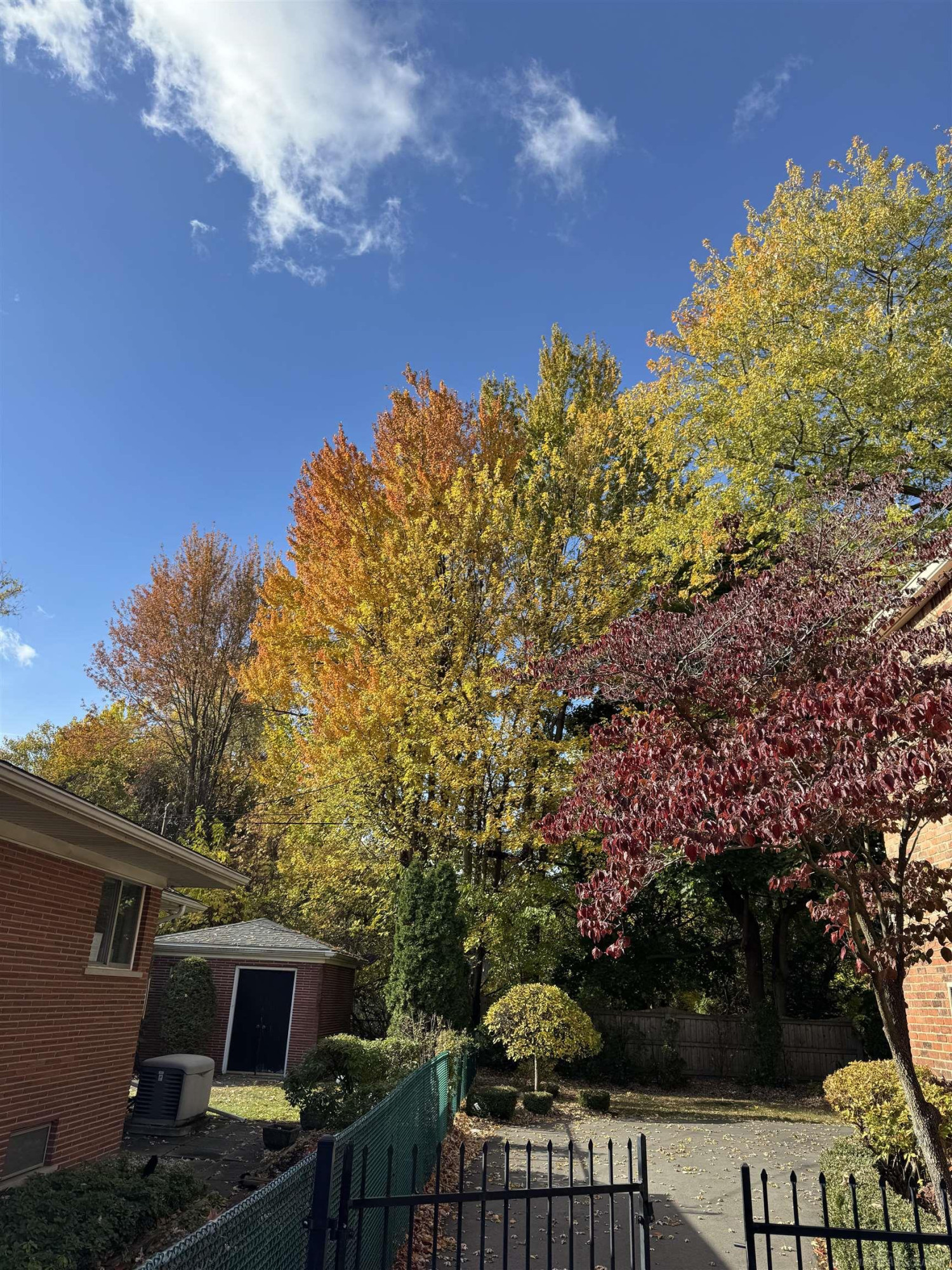 1003 Bedford Road, Grosse Pointe Park, MI 48230 — Photo 58