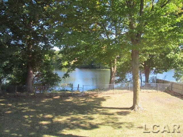 305 N Steer Street, Addison, MI 49220 — Photo 14