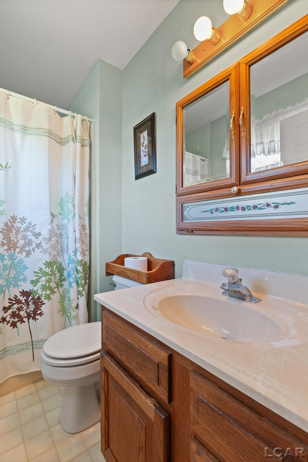 2251 N Waldron Drive, Pittsford, MI 49271 — Photo 35