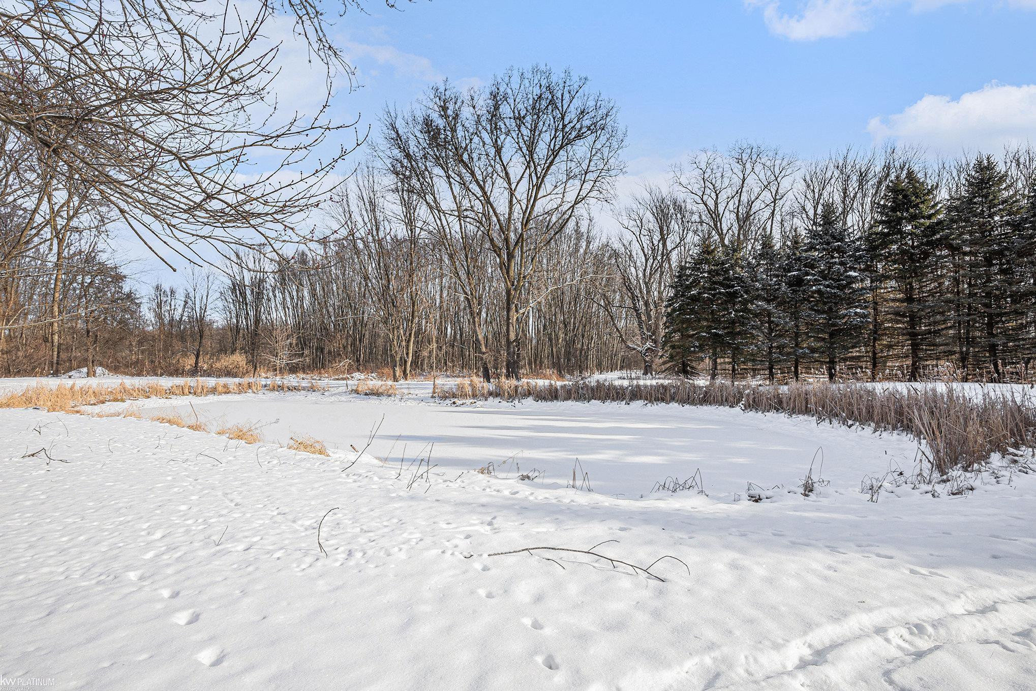8142 Mason Road, MI 48097 — Photo 35