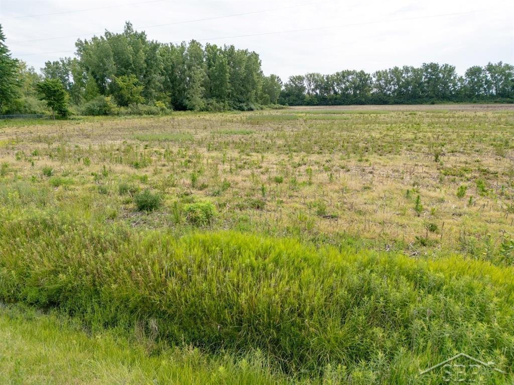 Parcel B 2.56 Acres N Center Road, Parcel B, Saginaw, MI 48604 — Photo 3