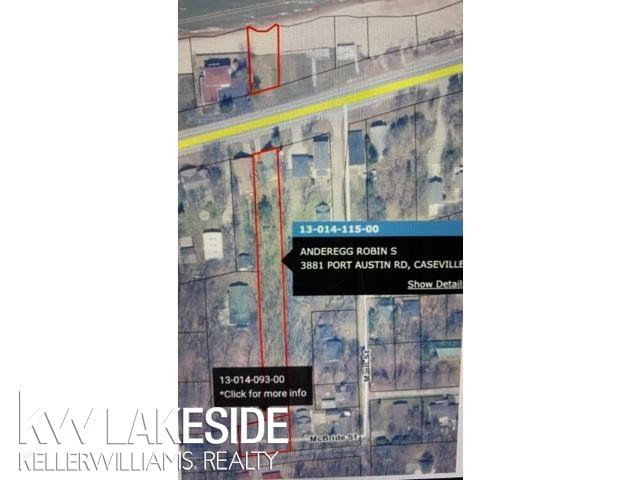 3881 Port Austin Road, Caseville, MI 48725 — Photo 18