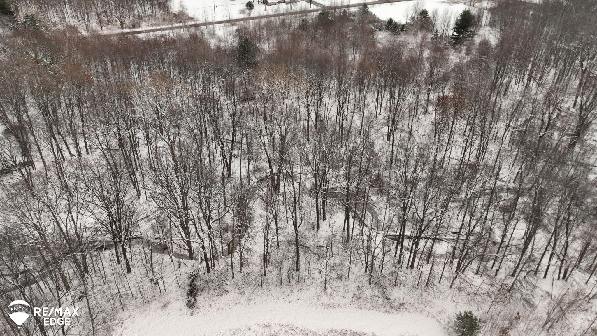 0 N Linden Road, Clio, MI 48420 — Photo 12