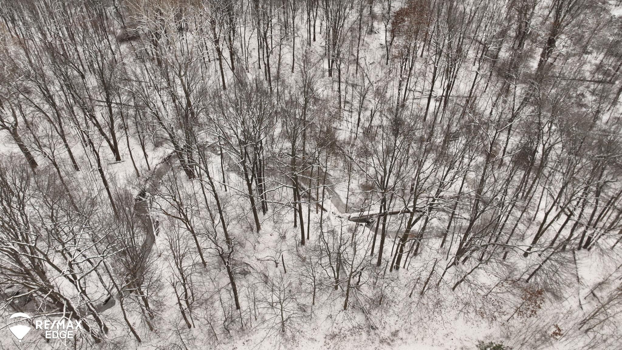 0 N Linden Road, Clio, MI 48420 — Photo 13