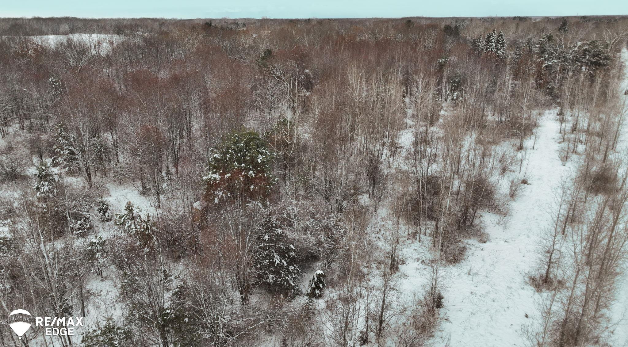 0 N Linden Road, Clio, MI 48420 — Photo 16