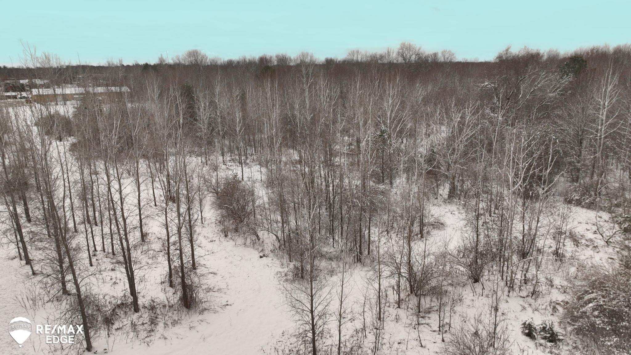 0 N Linden Road, Clio, MI 48420 — Photo 17