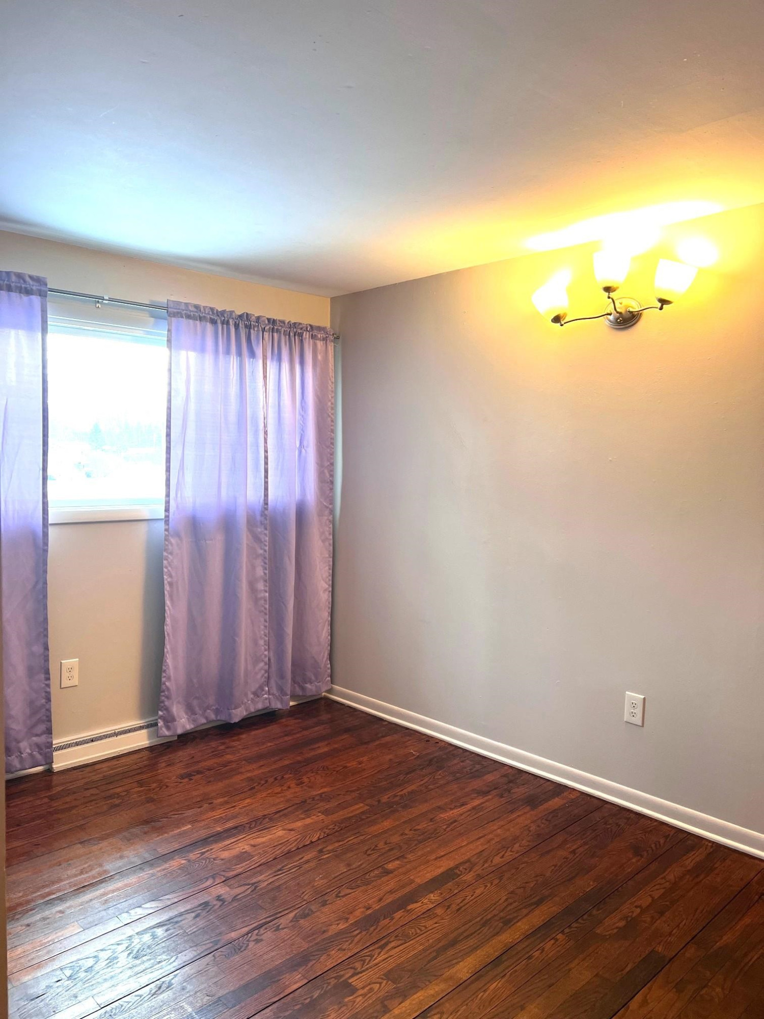105 W South Street, Morrice, MI 48857 — Photo 8