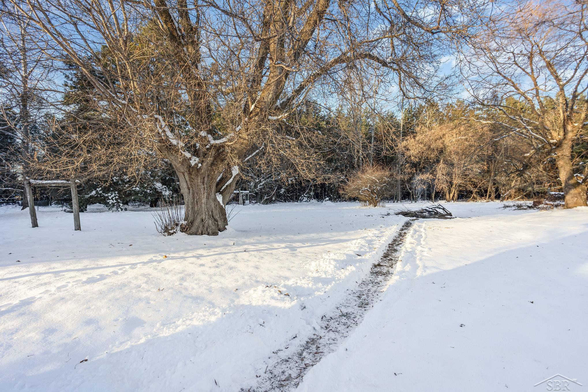 4294 Turtle Road, Turner, MI 48765 — Photo 5