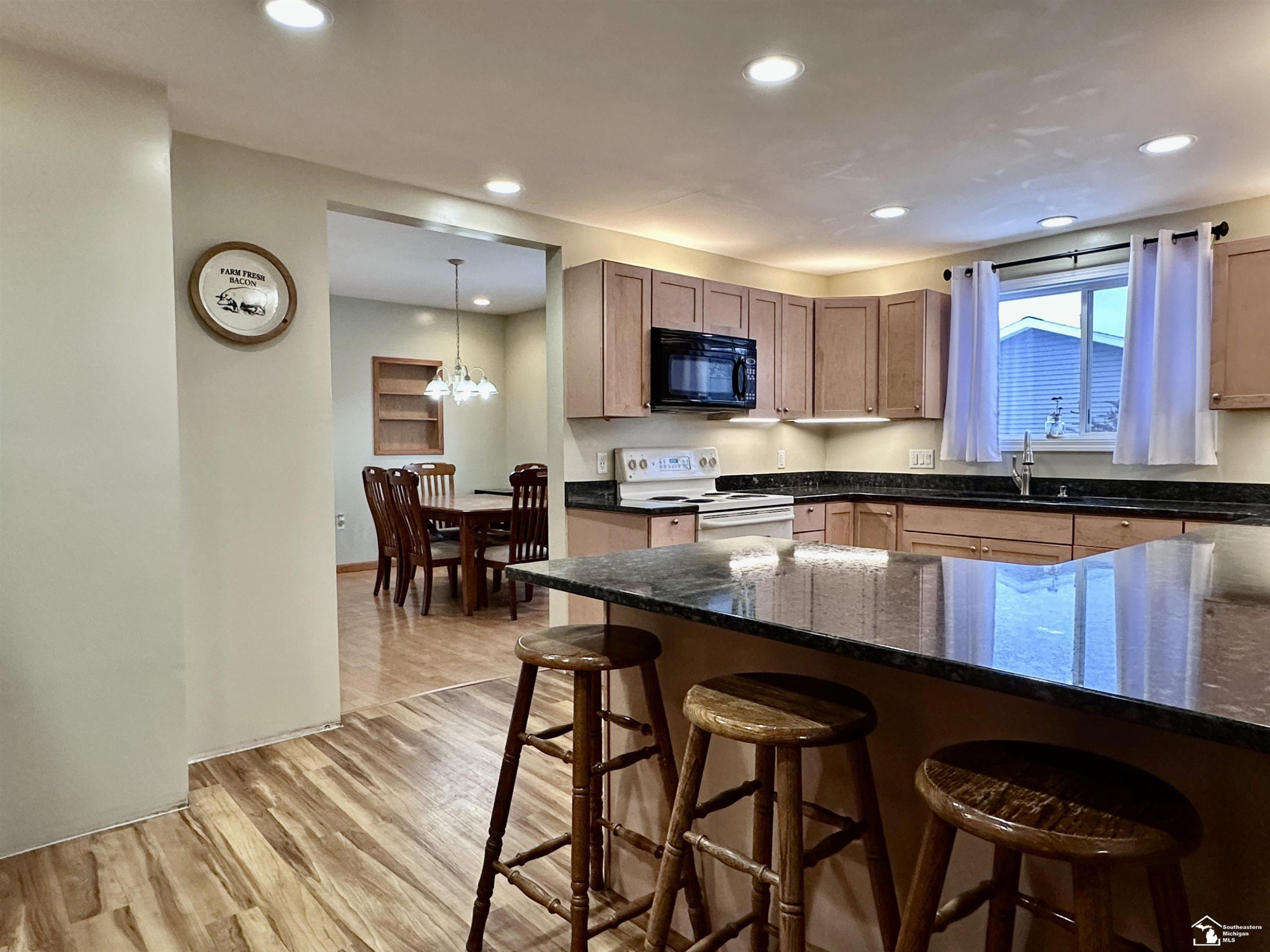 37 W Chestnut Street, Petersburg, MI 49270 — Photo 11