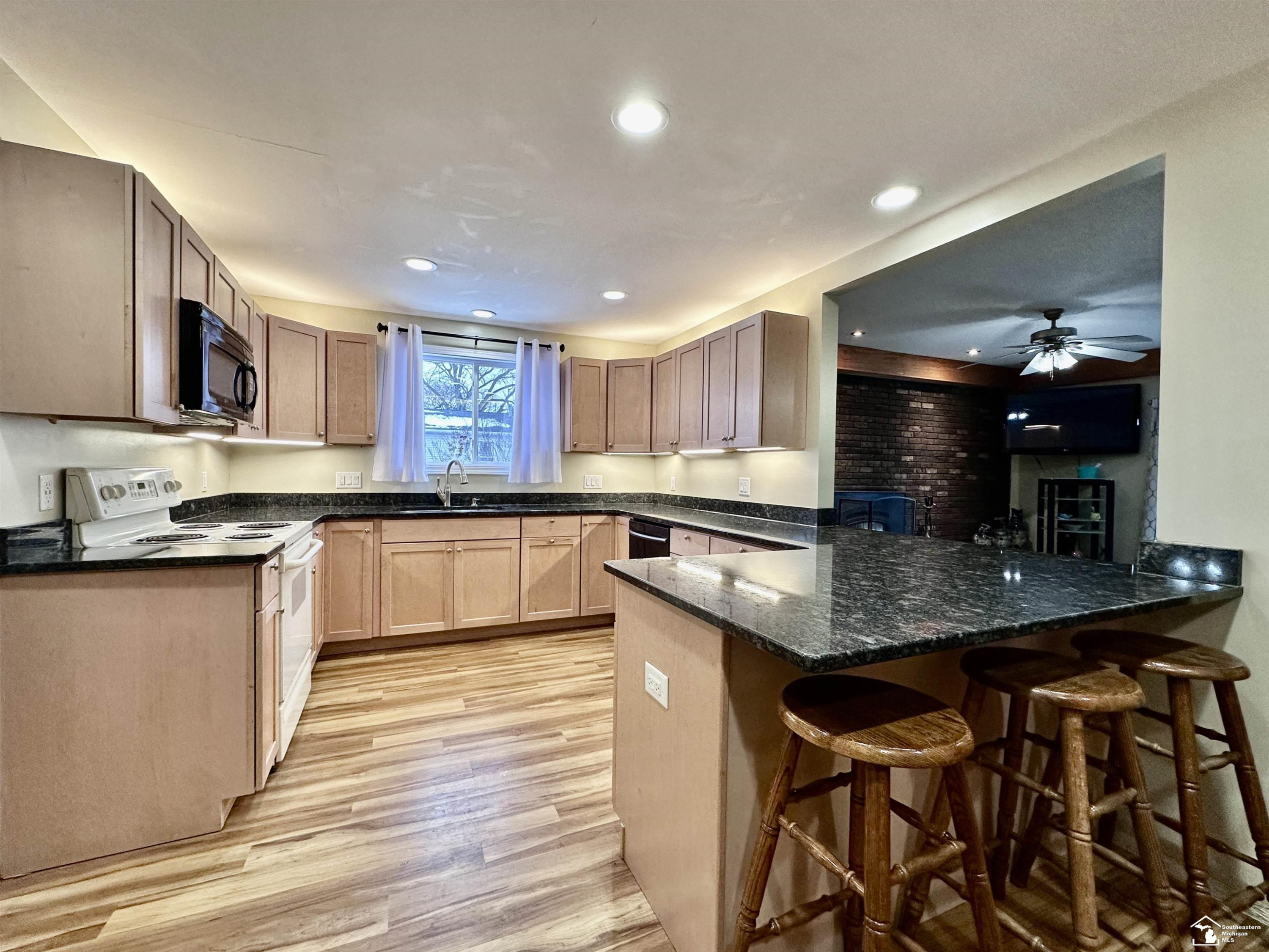 37 W Chestnut Street, Petersburg, MI 49270 — Photo 12