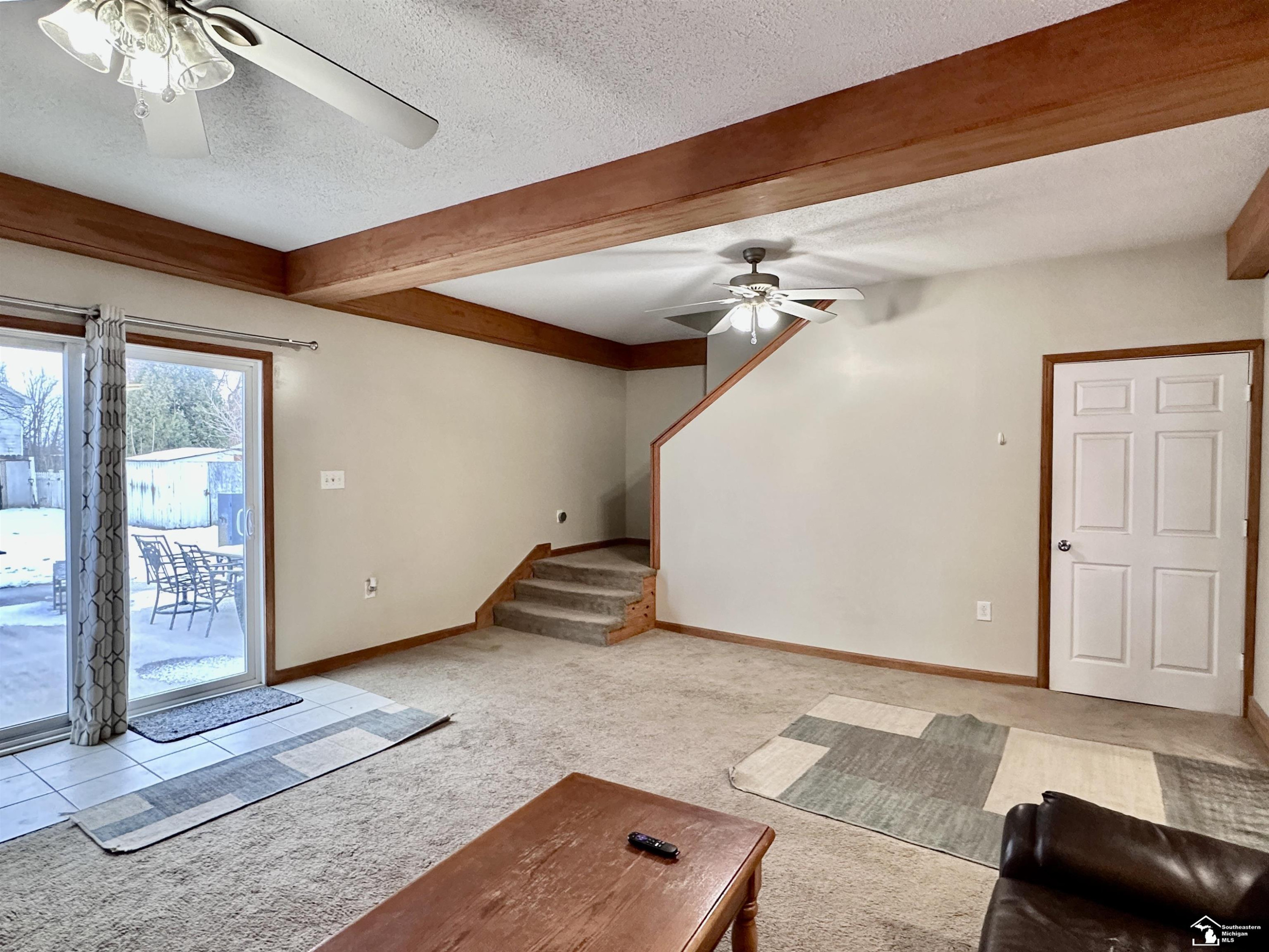 37 W Chestnut Street, Petersburg, MI 49270 — Photo 21