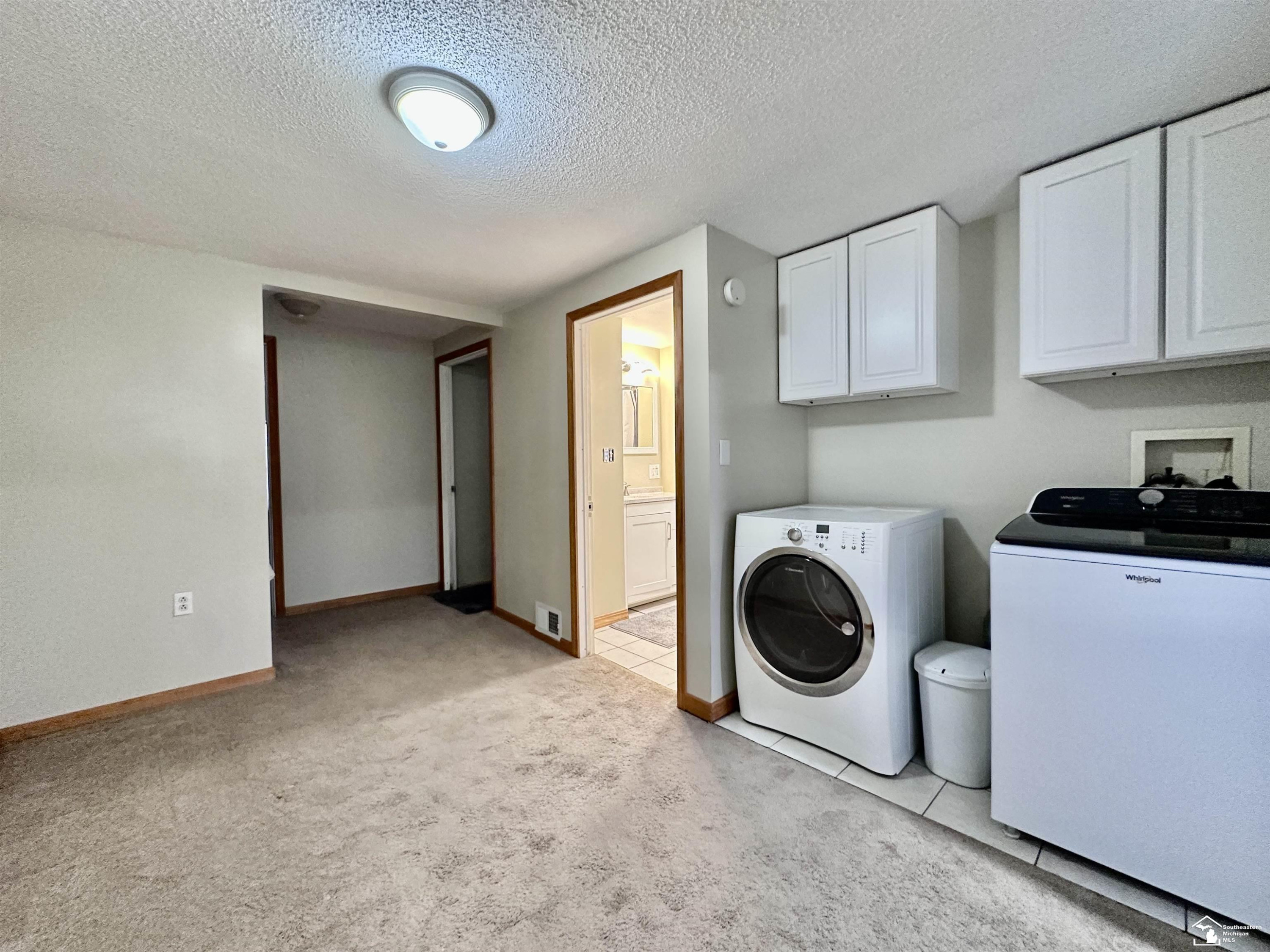 37 W Chestnut Street, Petersburg, MI 49270 — Photo 24