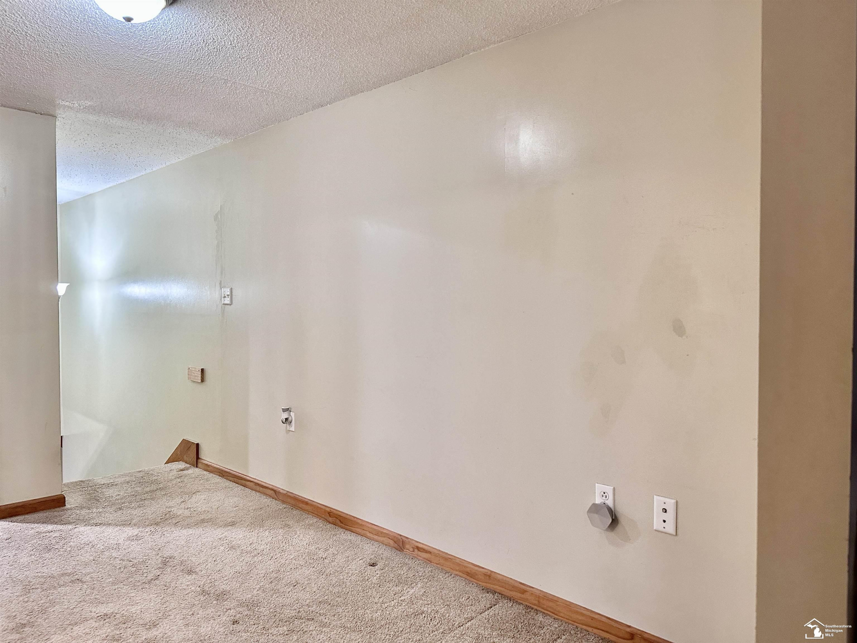 37 W Chestnut Street, Petersburg, MI 49270 — Photo 26