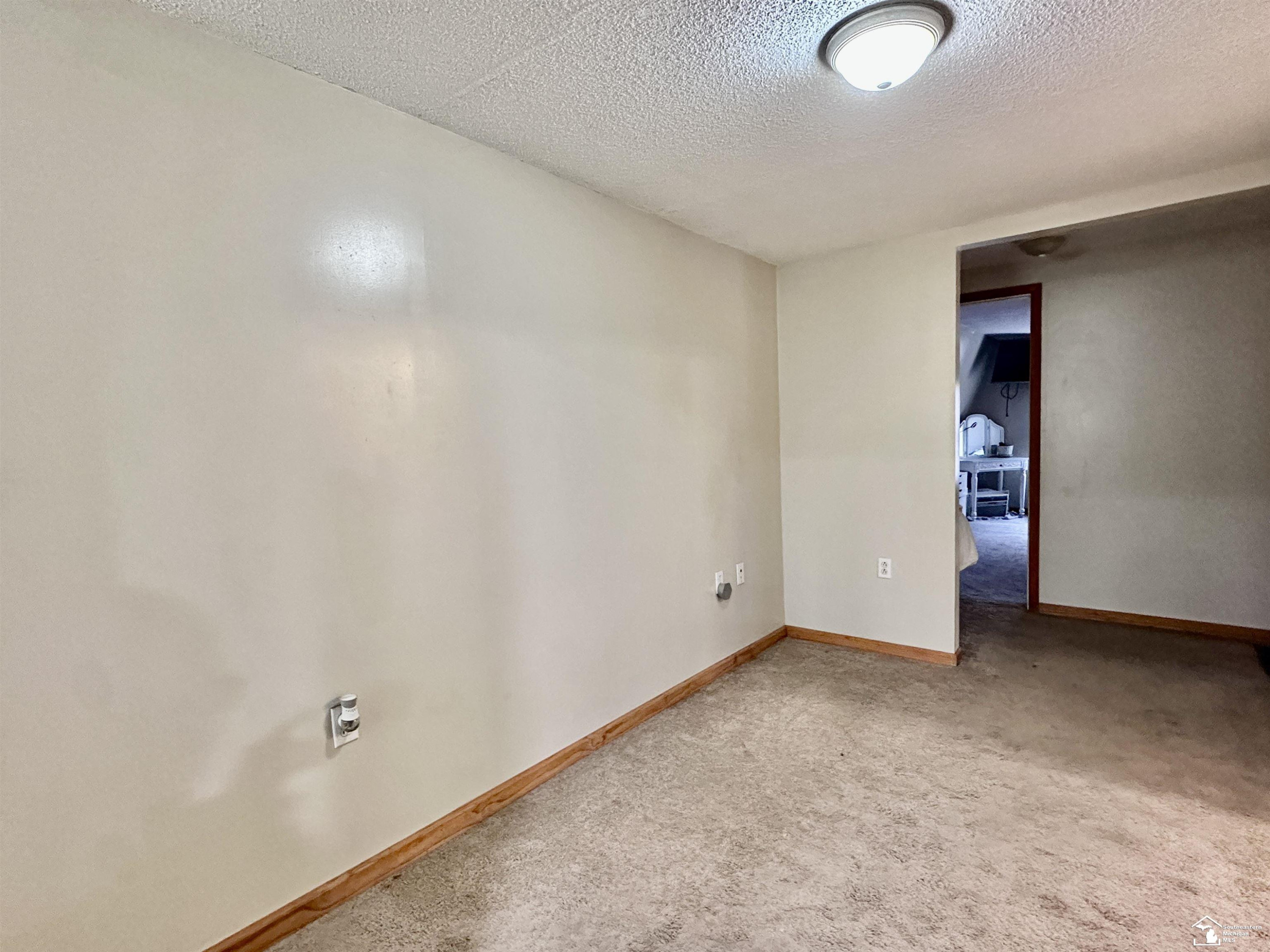 37 W Chestnut Street, Petersburg, MI 49270 — Photo 27