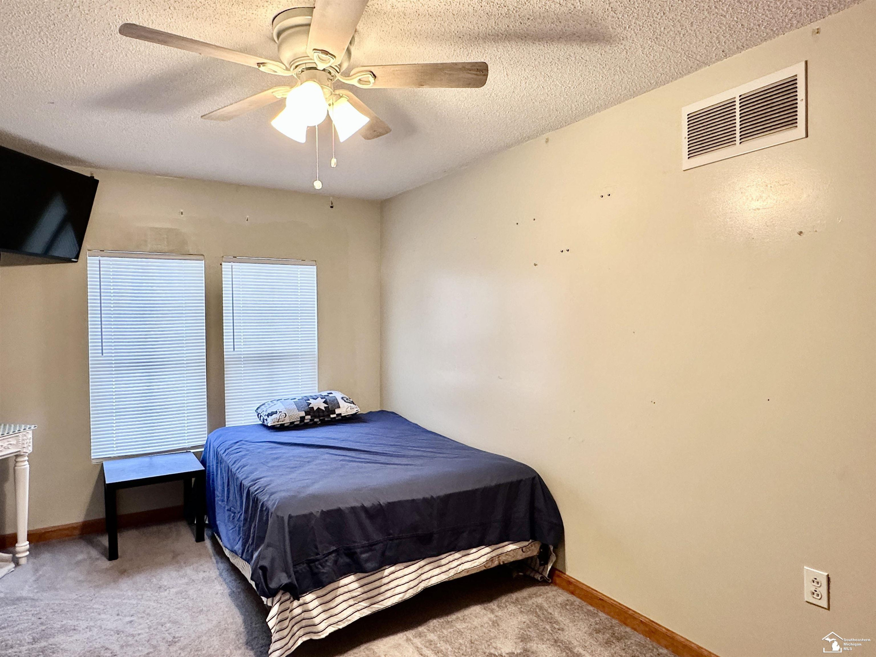 37 W Chestnut Street, Petersburg, MI 49270 — Photo 32