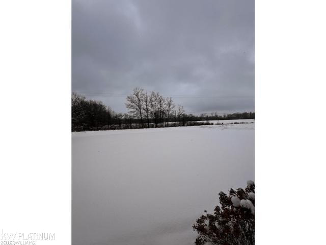 10630 Imlay City Road, Emmett, MI 48022 — Photo 36