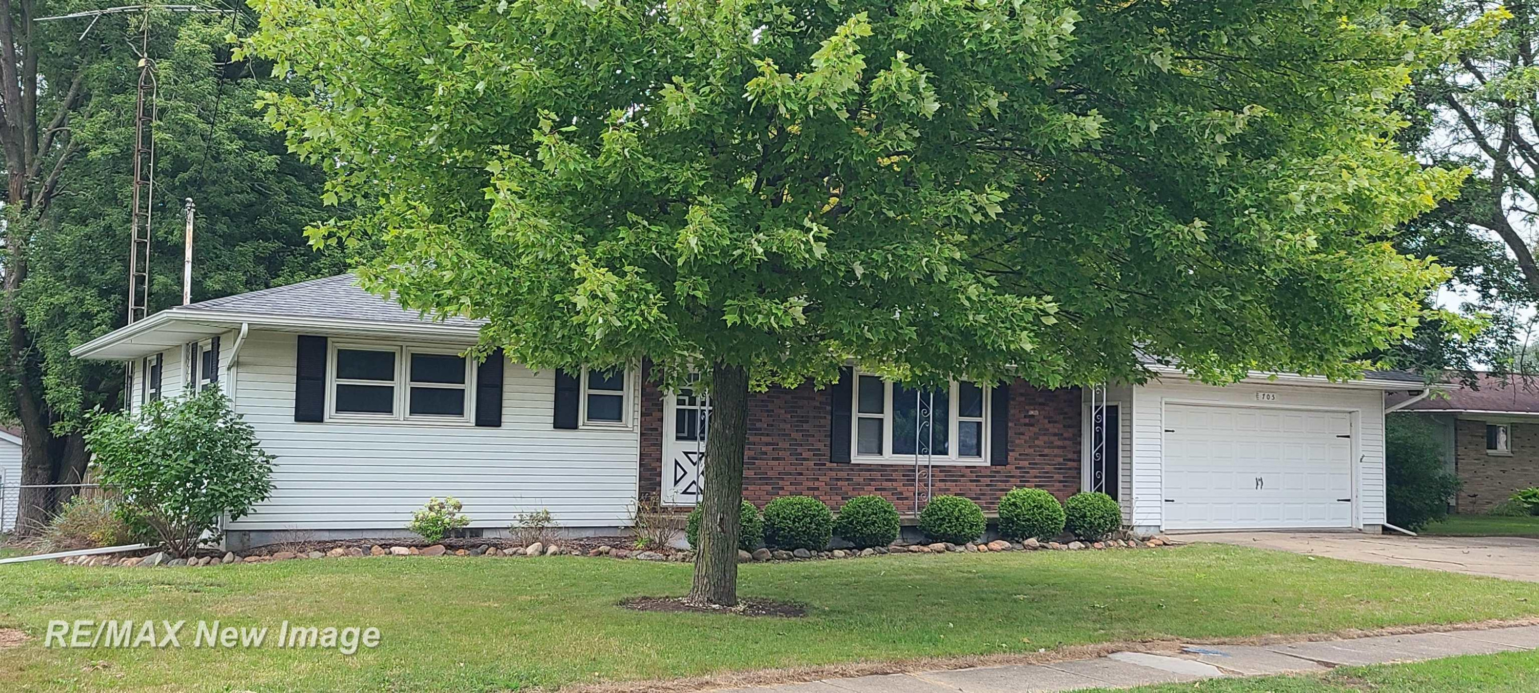 705 E Liberty Street, Chesaning, MI 48616 — Photo 3