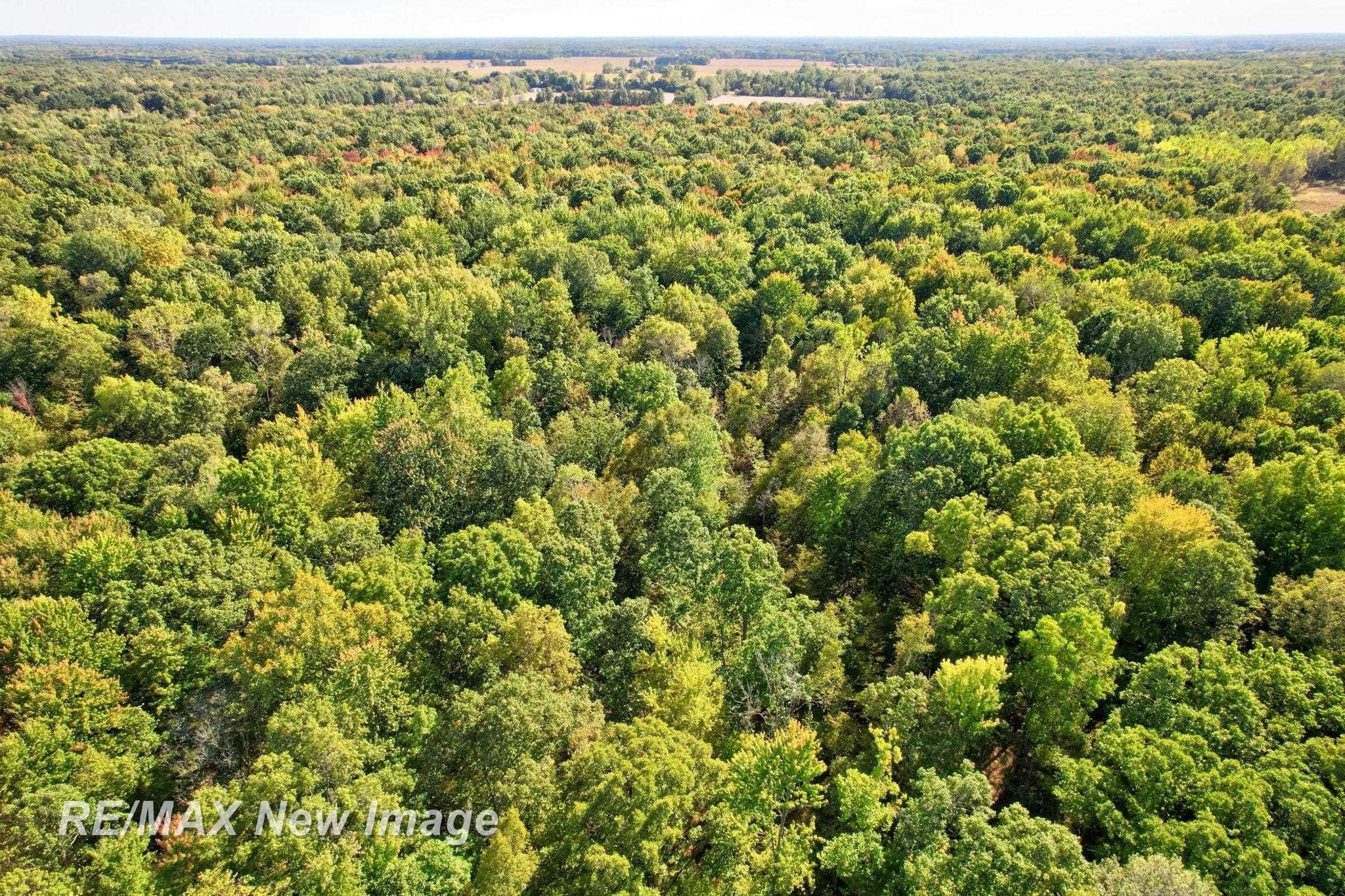 8700 S Hemlock Road, Saint Charles, MI 48655 — Photo 47