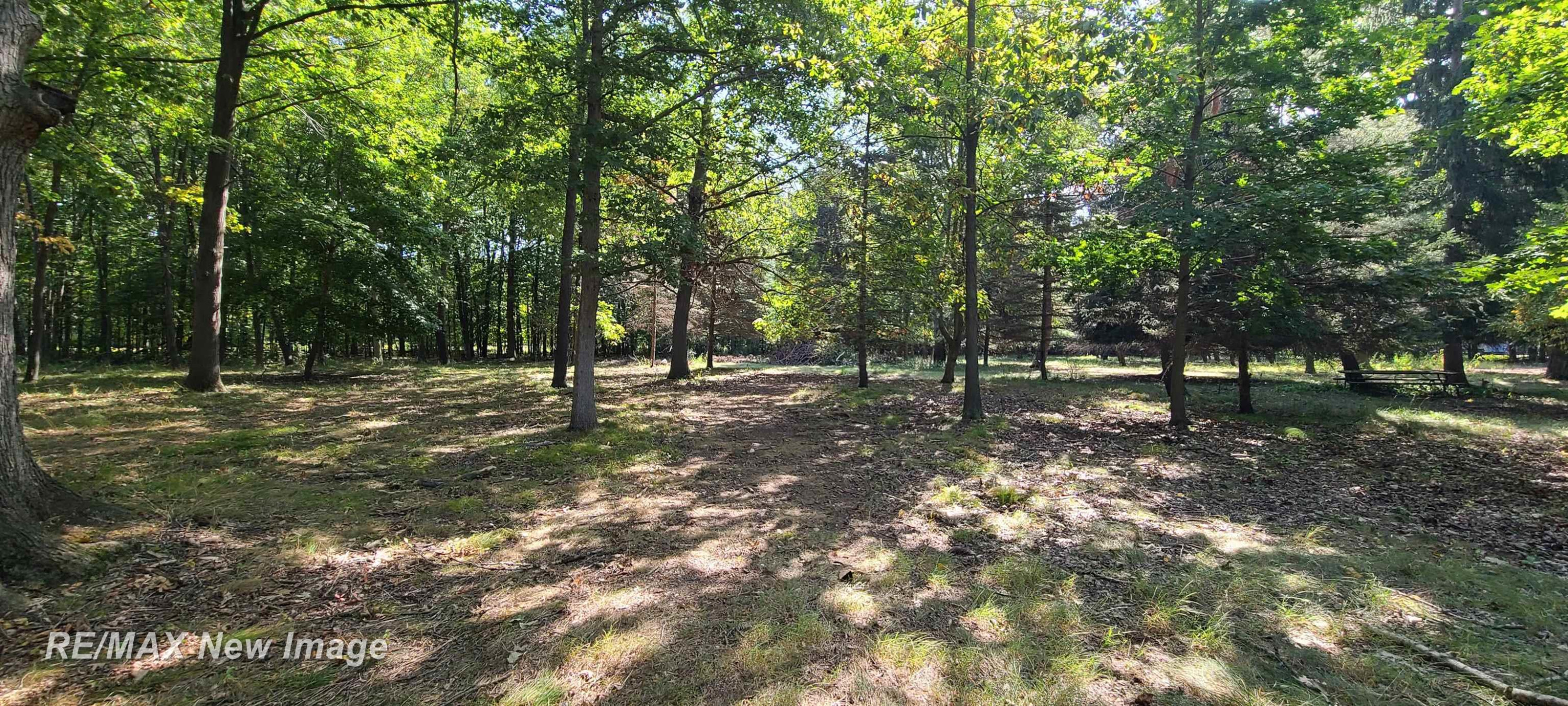 18575 S Raucholz Road, Oakley, MI 48649 — Photo 52