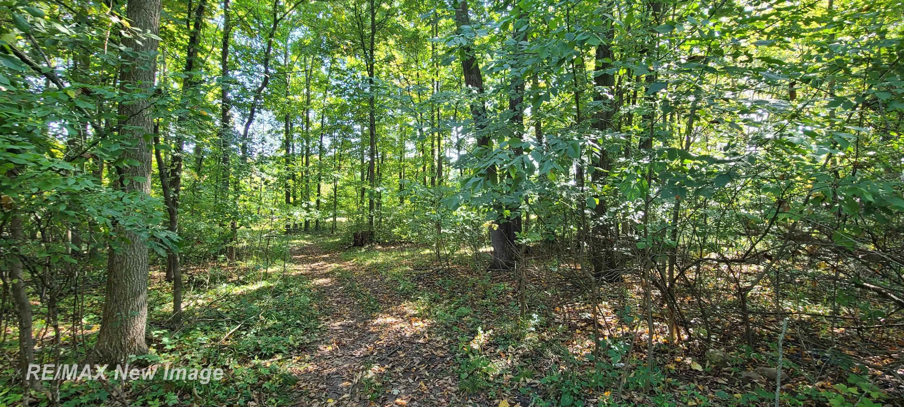 18575 S Raucholz Road, Oakley, MI 48649 — Photo 54