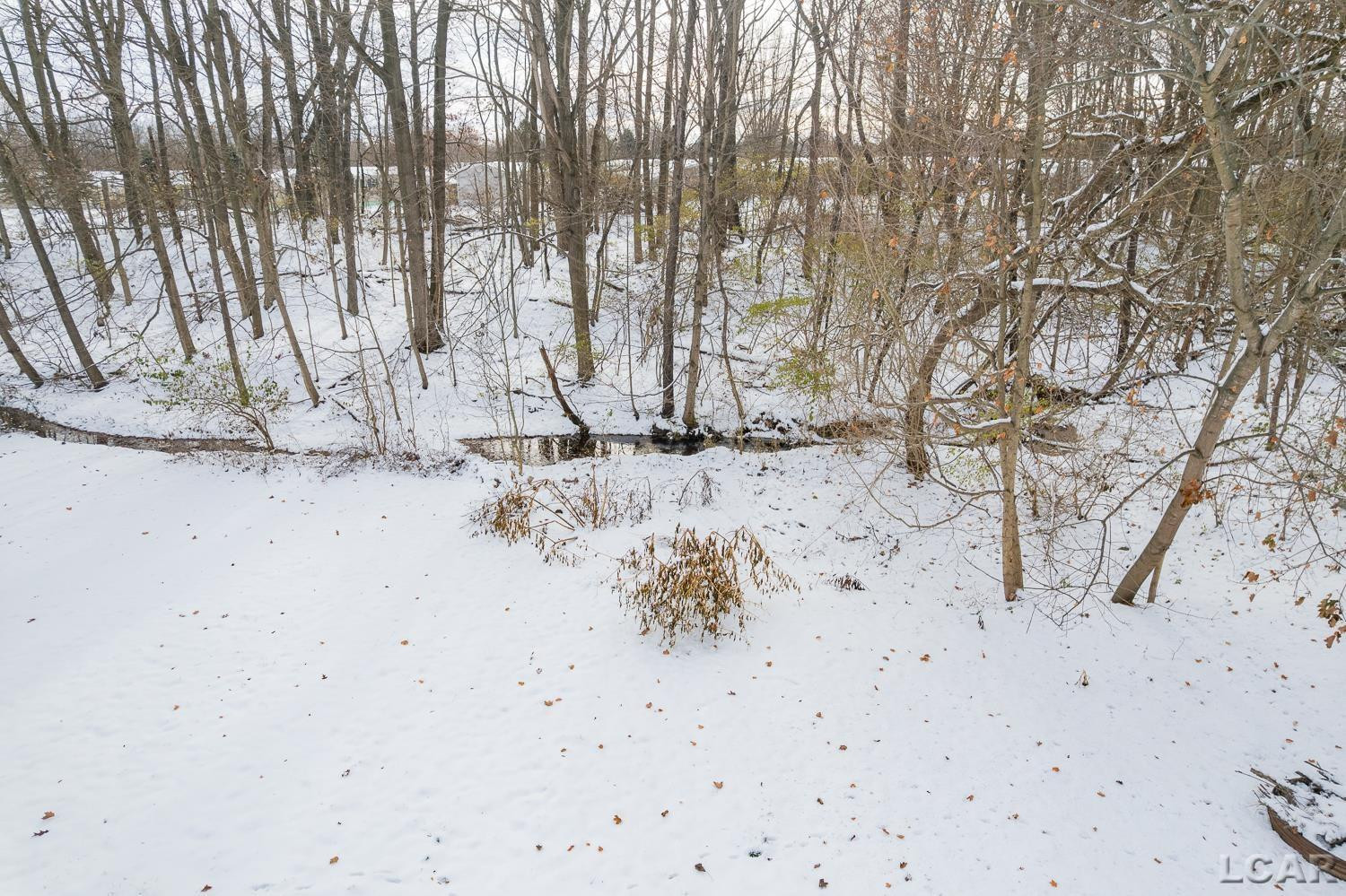 9249 TONNEBERGER Drive, Tecumseh, MI 49286 — Photo 2
