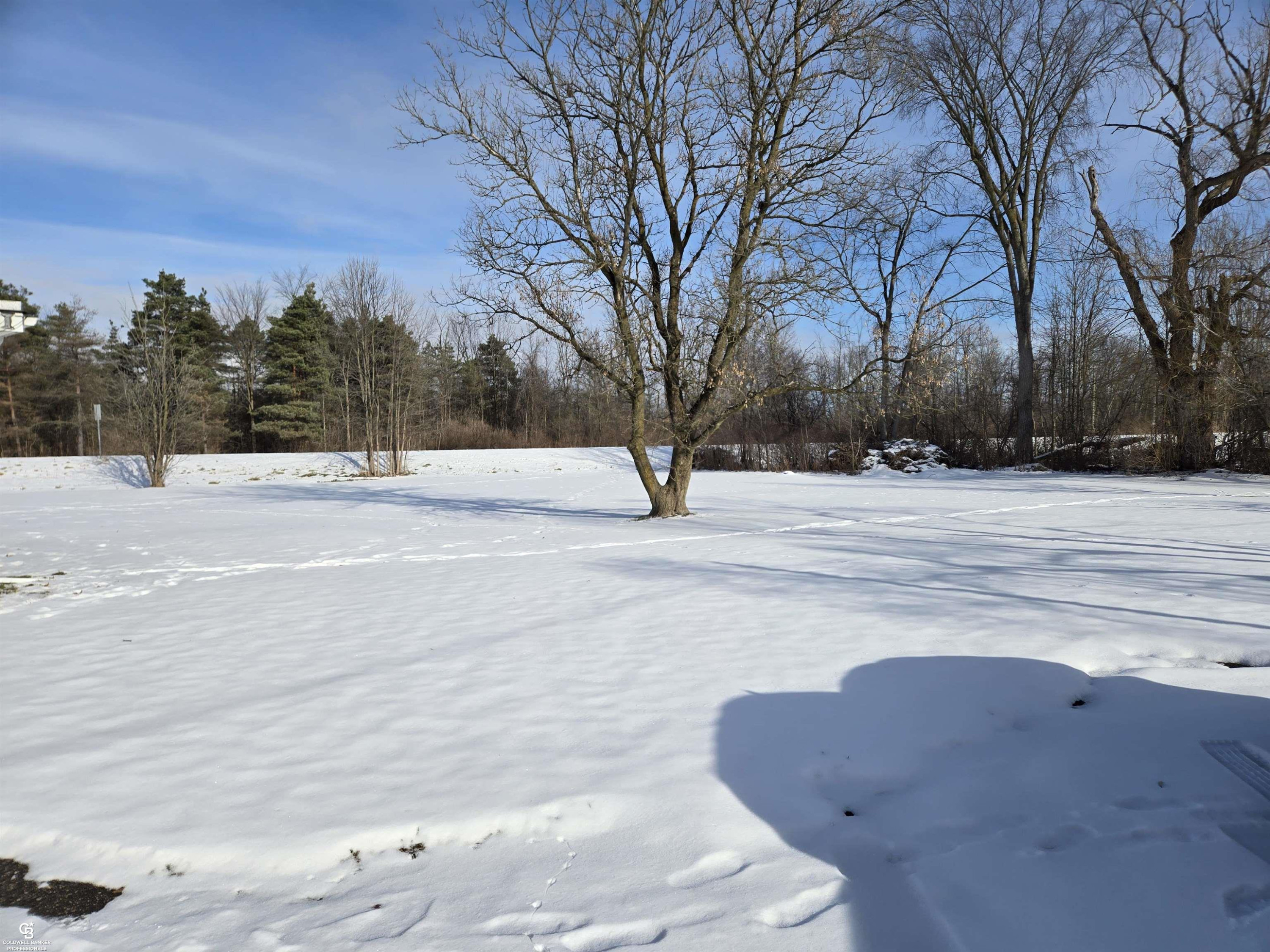 10676 Brandon Road, Emmett, MI 48022 — Photo 18