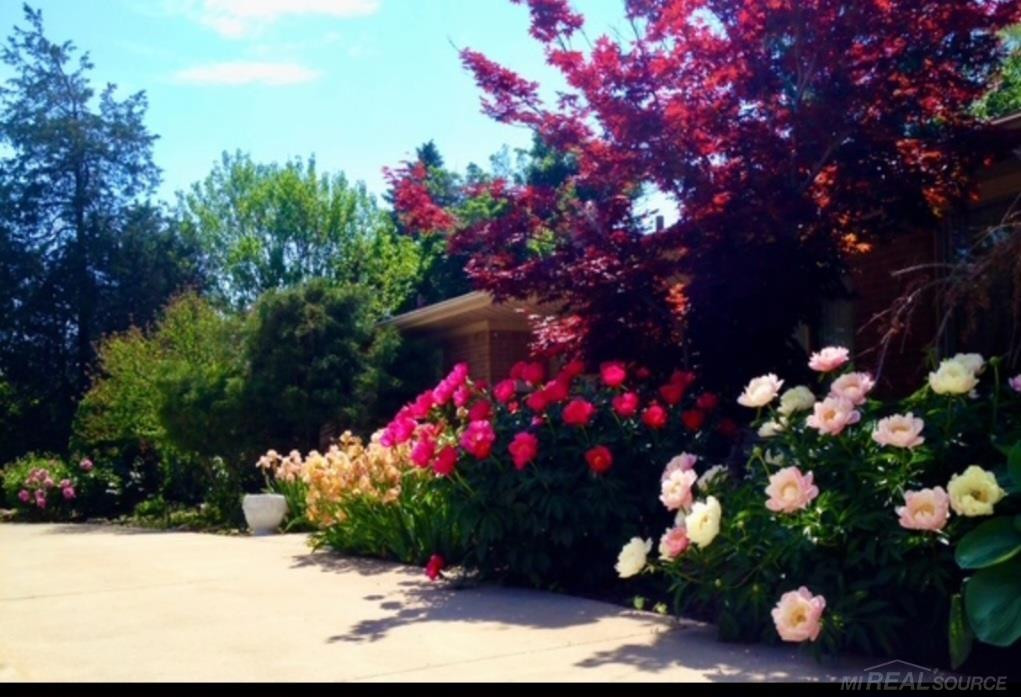 21860 Normandale Street, Beverly Hills, MI 48025 — Photo 4