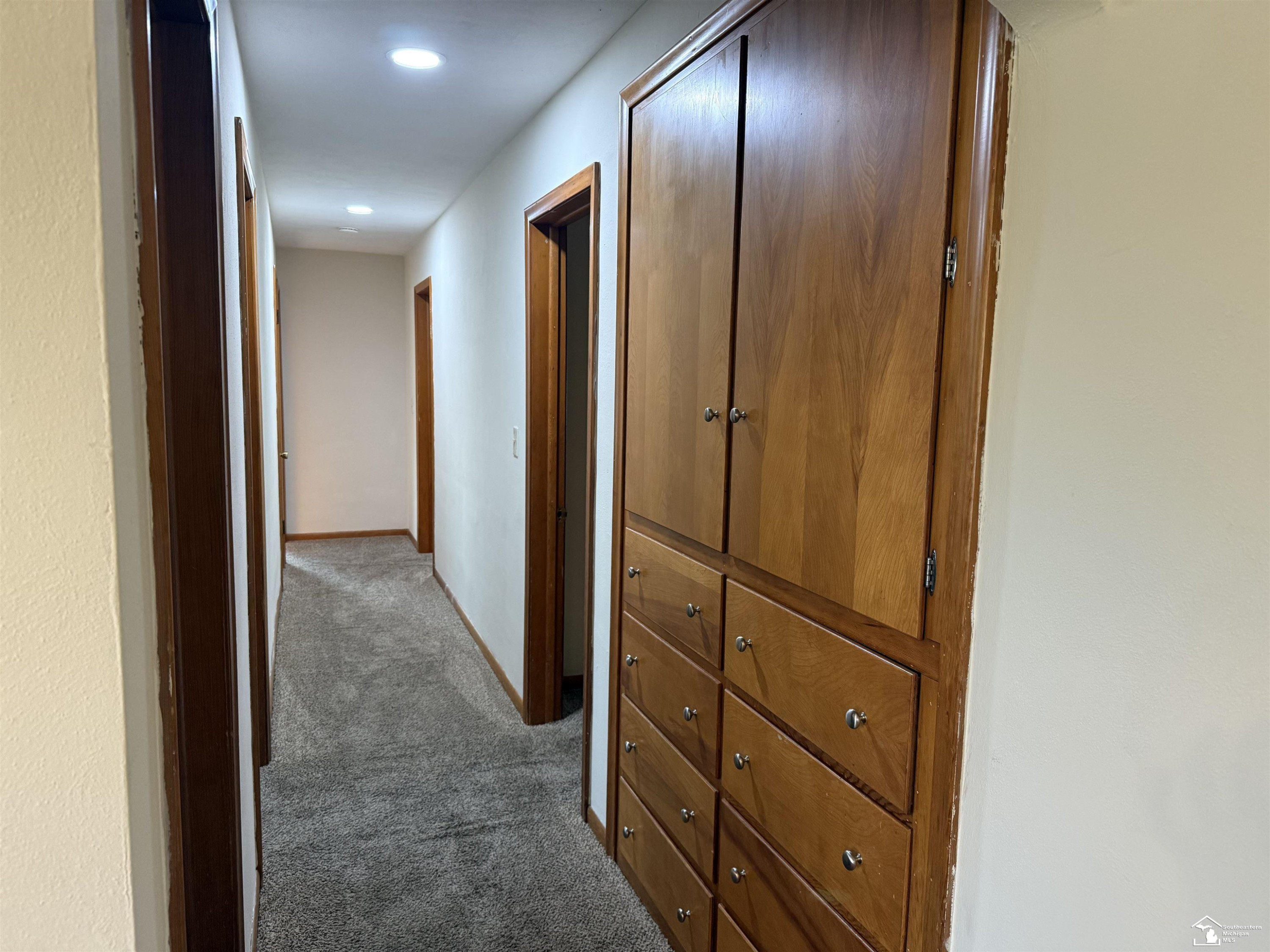 7299 Kruse Road, Petersburg, MI 49270 — Photo 10