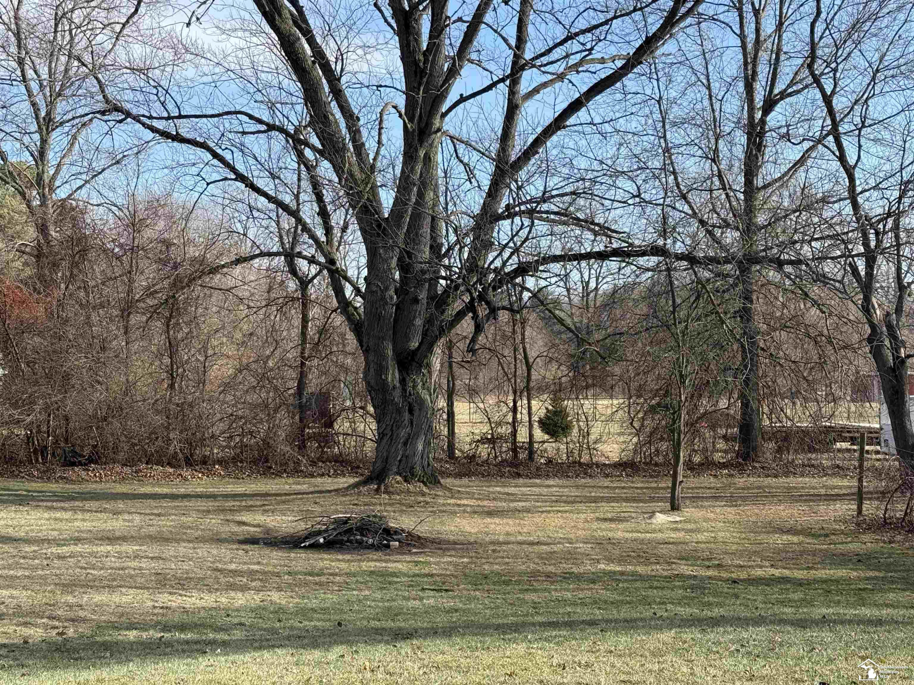 7299 Kruse Road, Petersburg, MI 49270 — Photo 26
