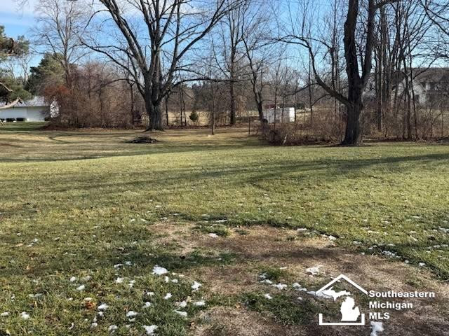 7299 Kruse Road, Petersburg, MI 49270 — Photo 27